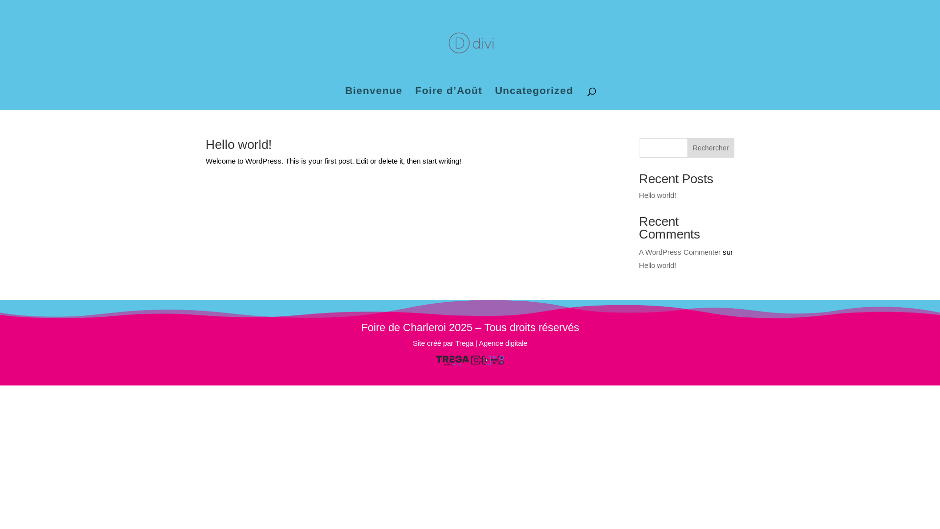 website screenshot of https://foiredecharleroi.com/