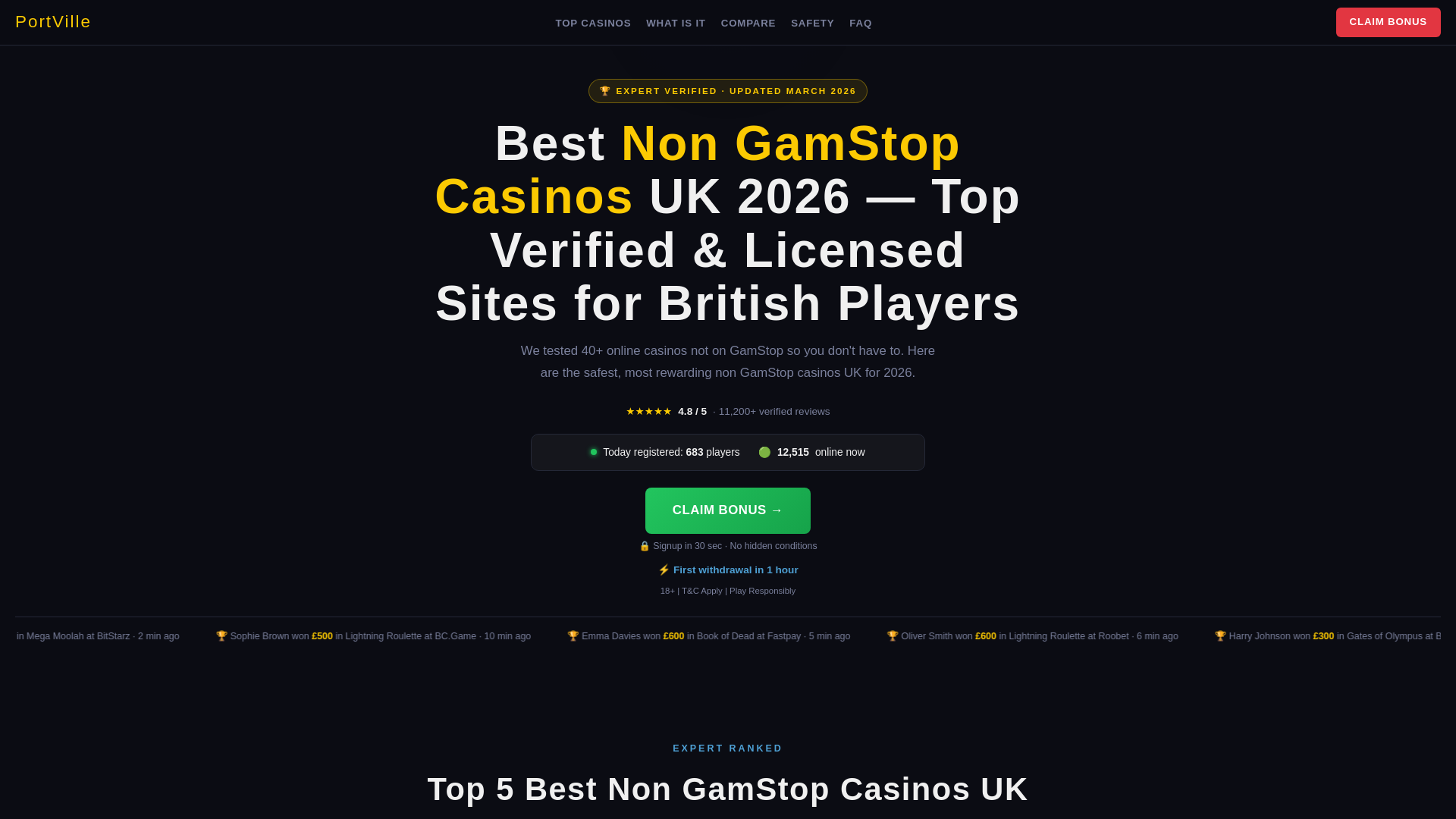 website screenshot of https://portvilleny-net.pages.dev/