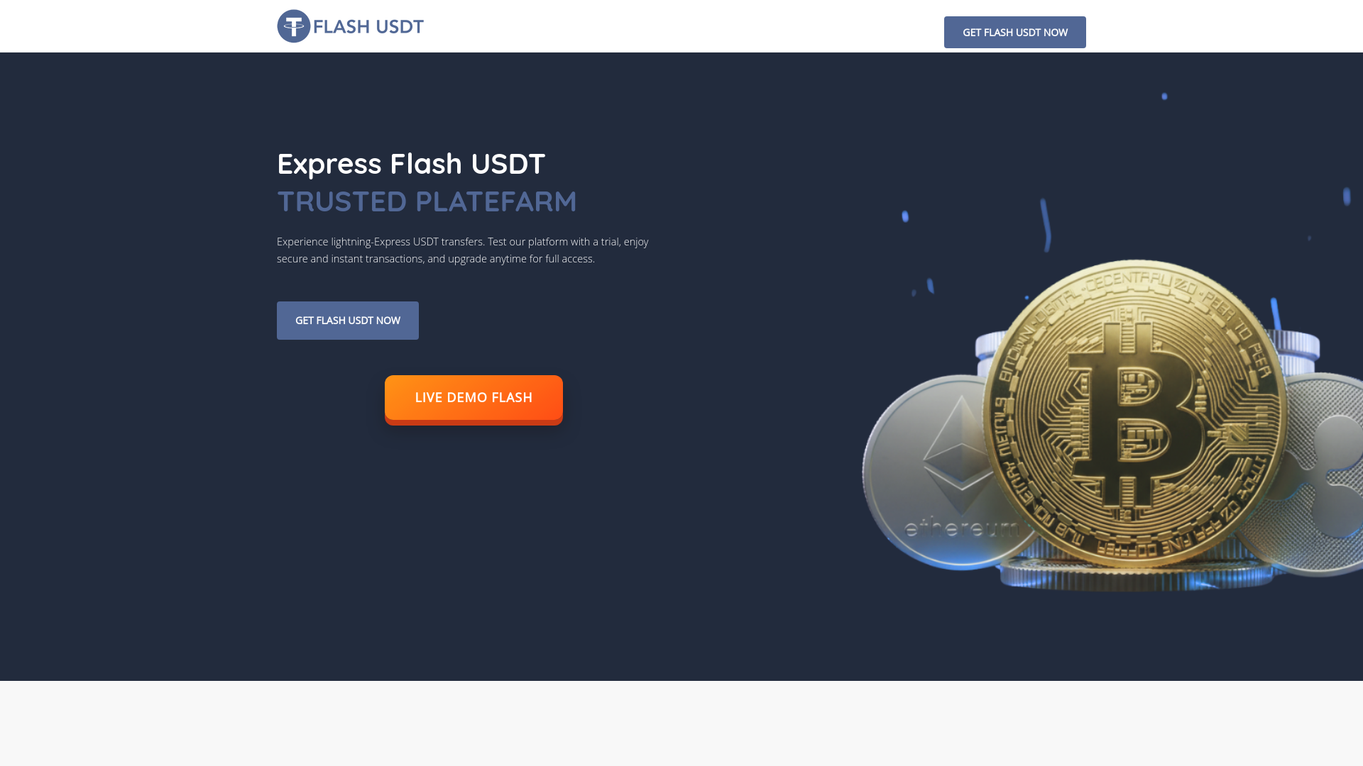website screenshot of https://expressflashusdt.com/