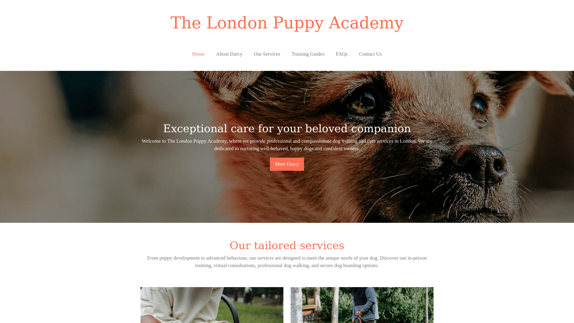website screenshot of https://thelondonpuppyacademy.co.uk/