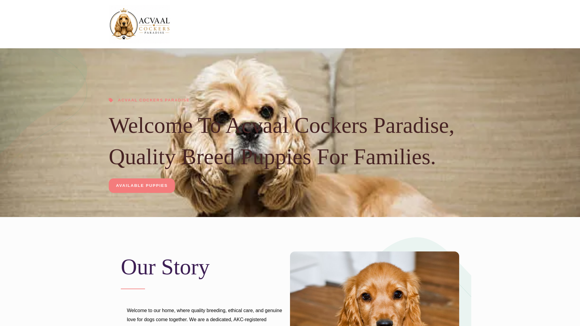 website screenshot of https://acvaalcockerspdise.com/