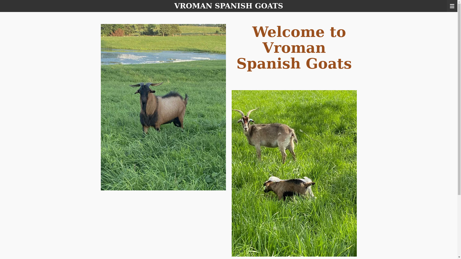 website screenshot of https://vromanspanishgoats.com/