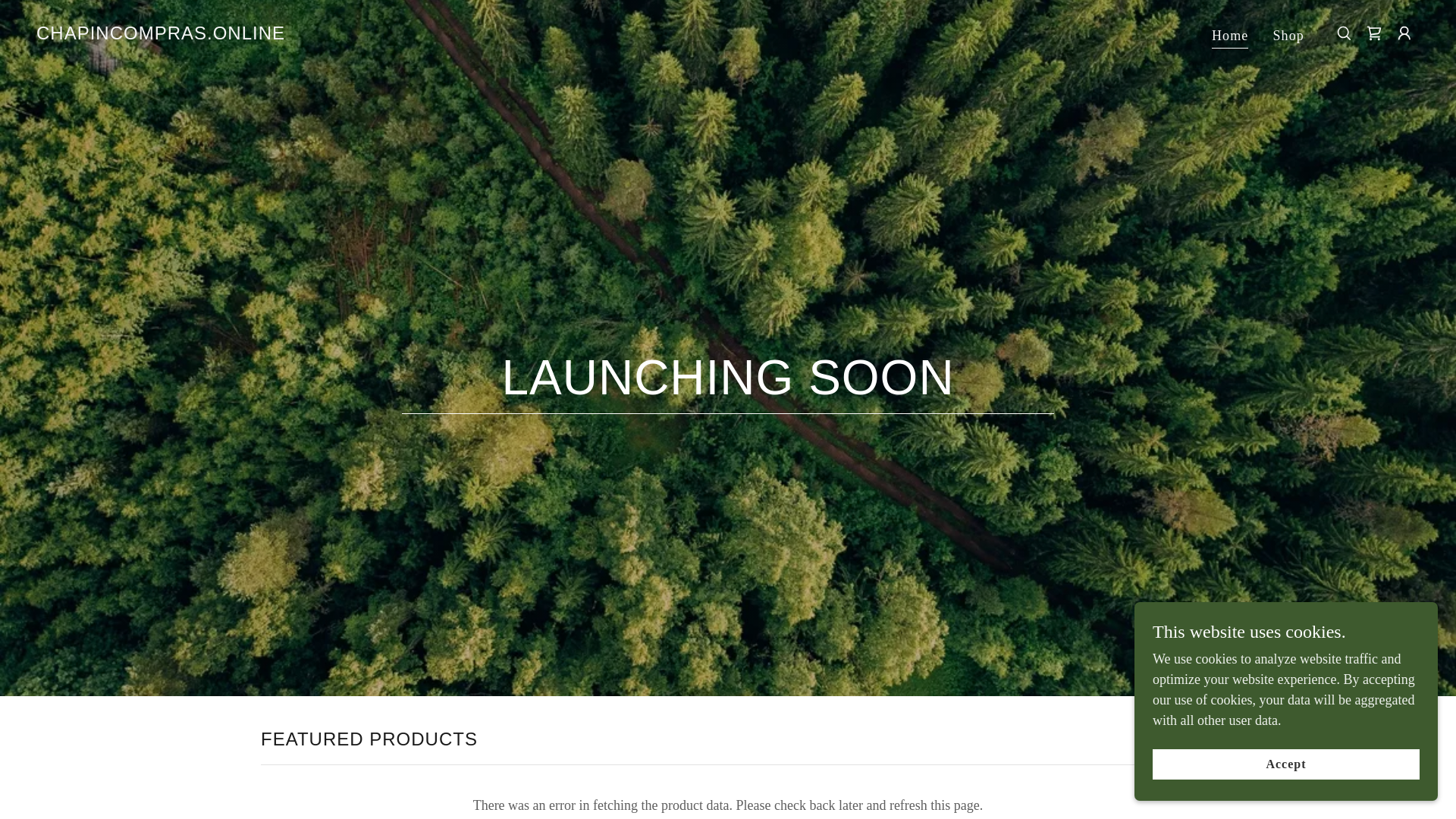 website screenshot of https://chapincompras.online/