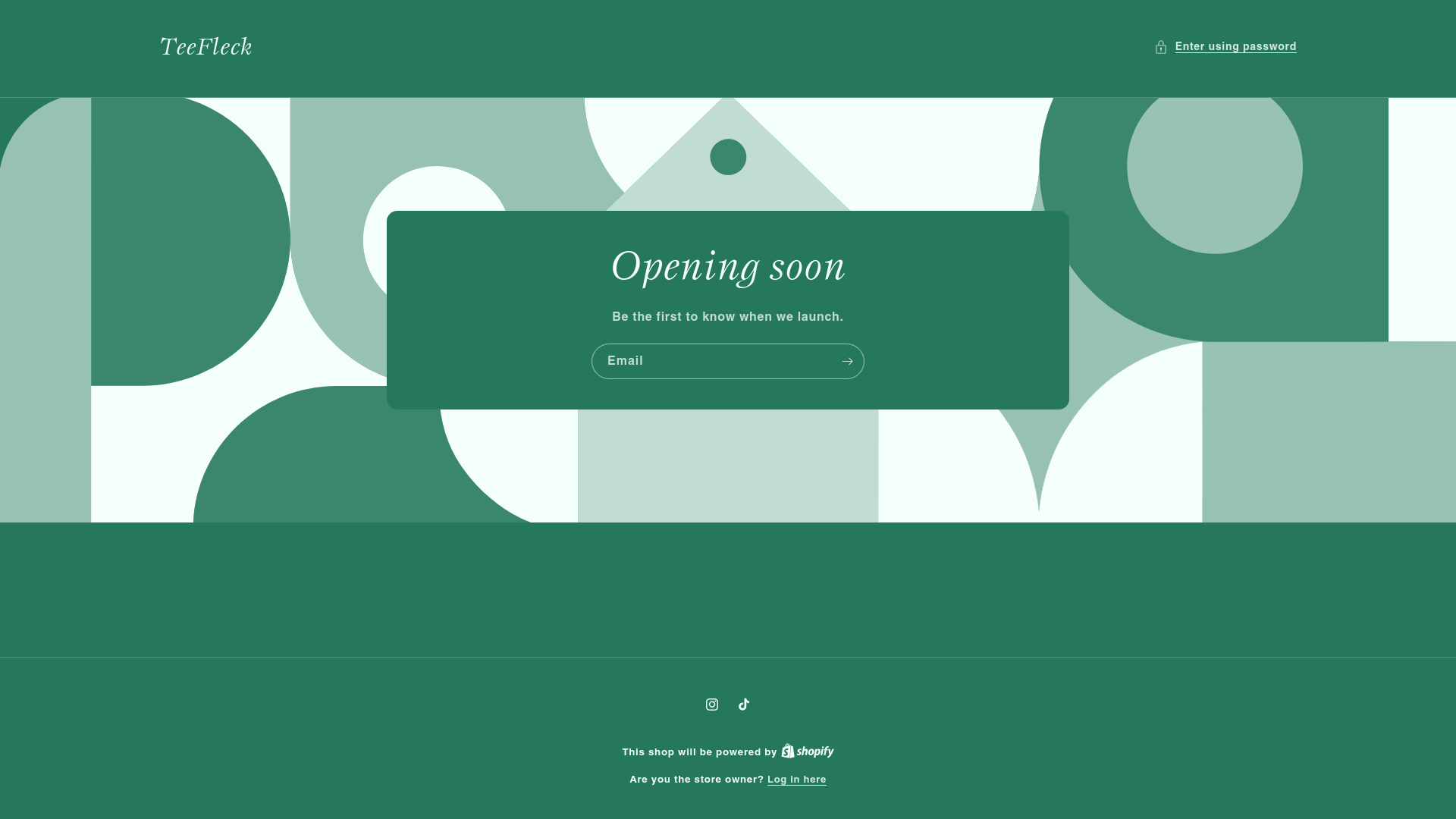 website screenshot of https://teefleck.com/