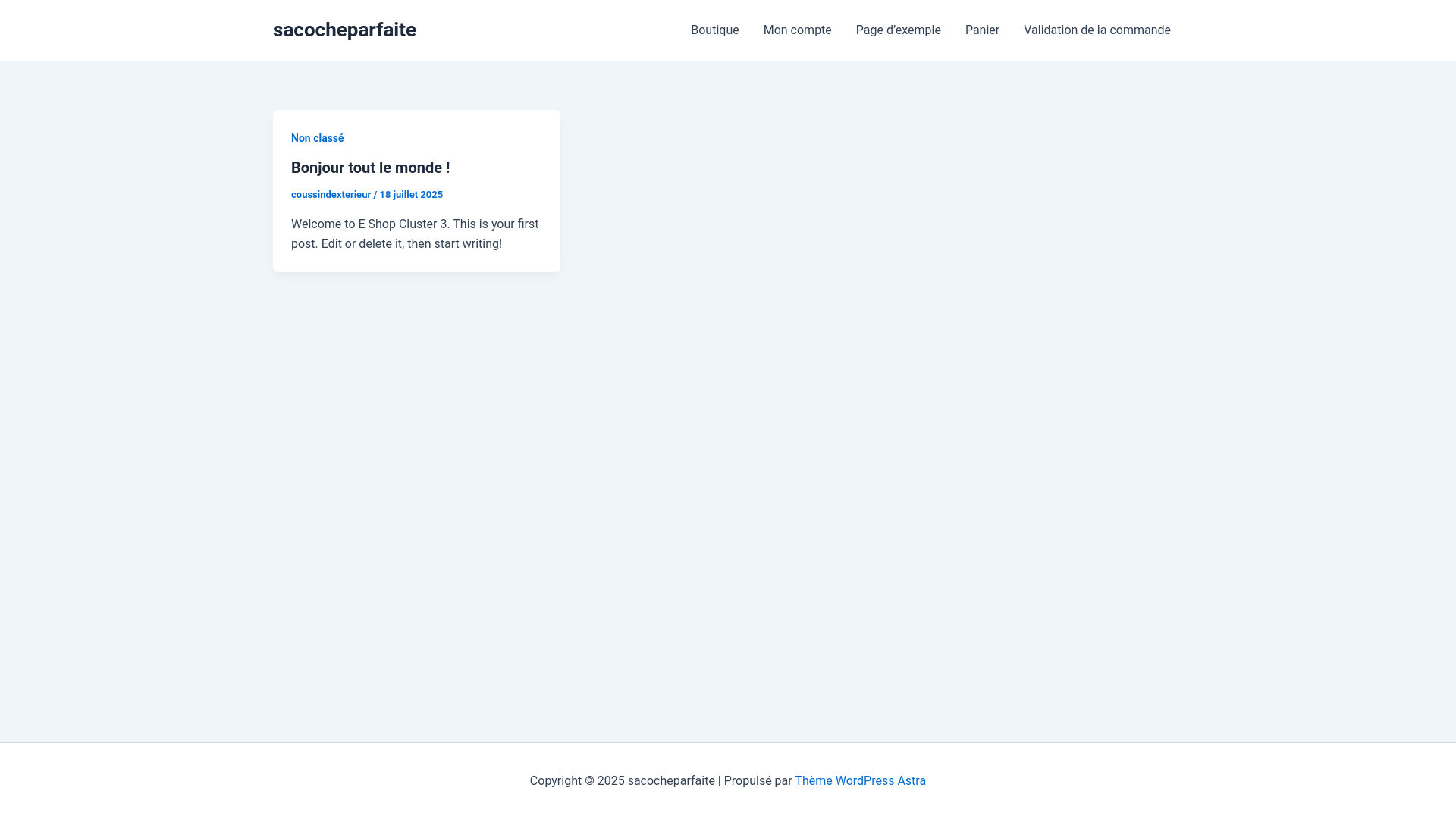 website screenshot of https://sacocheparfaite.com/
