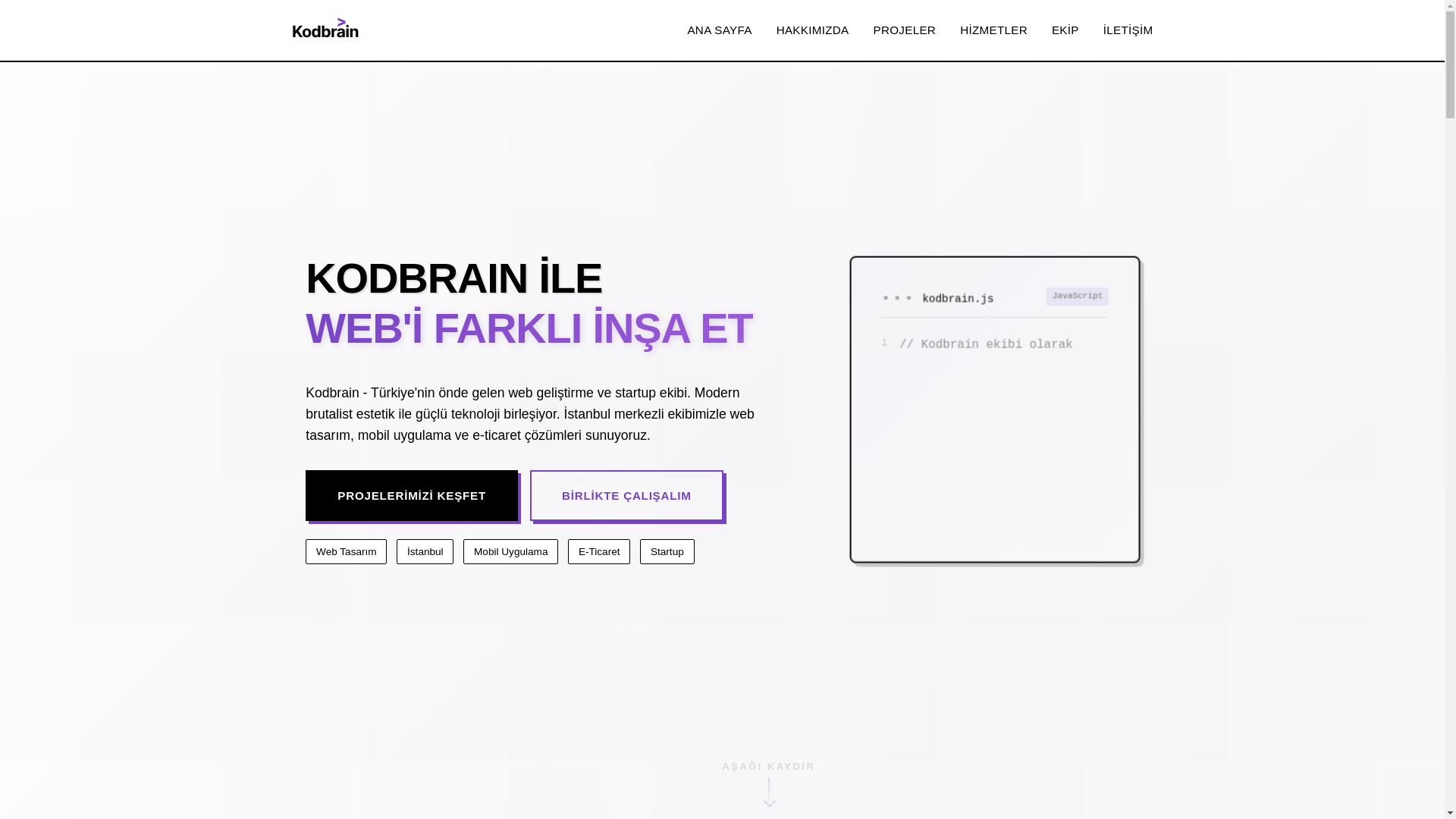 website screenshot of https://www.kodbrain.com