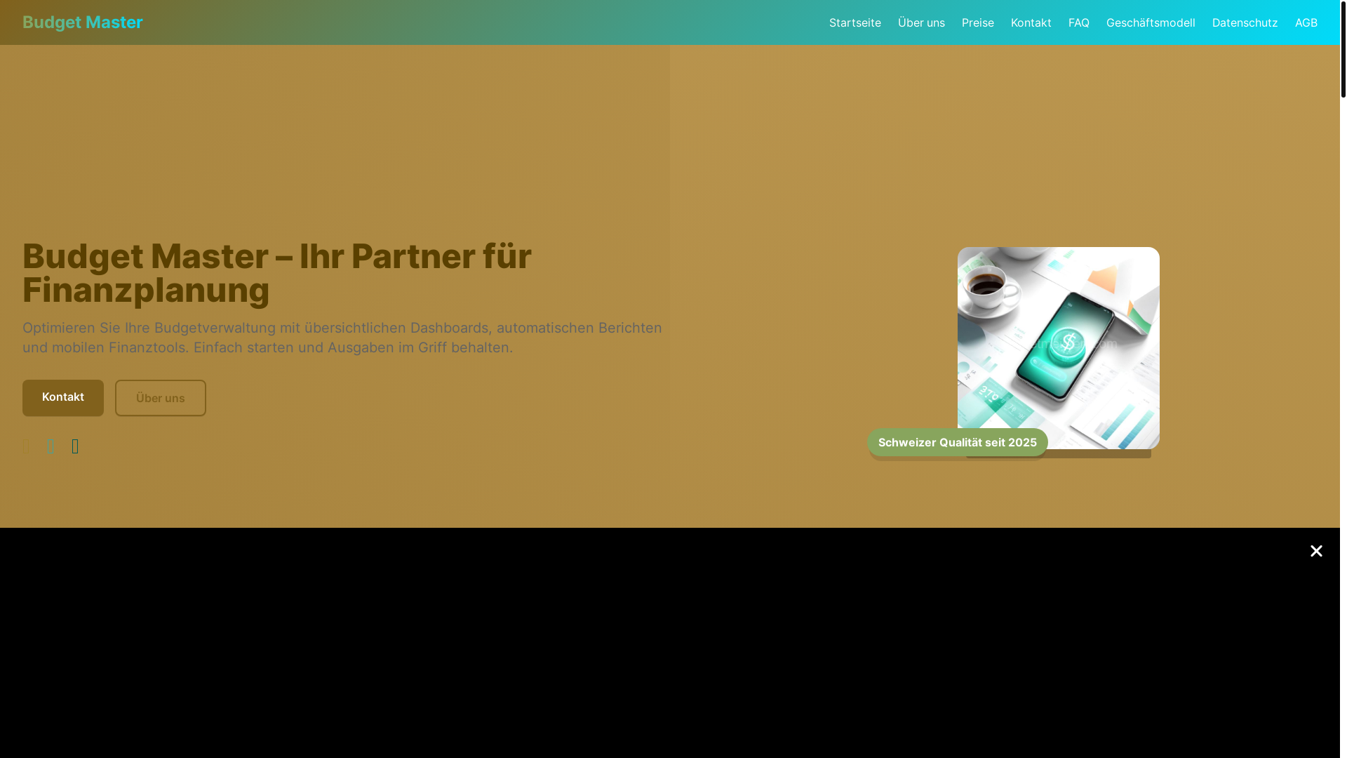 website screenshot of https://budgetmeisterr.com/