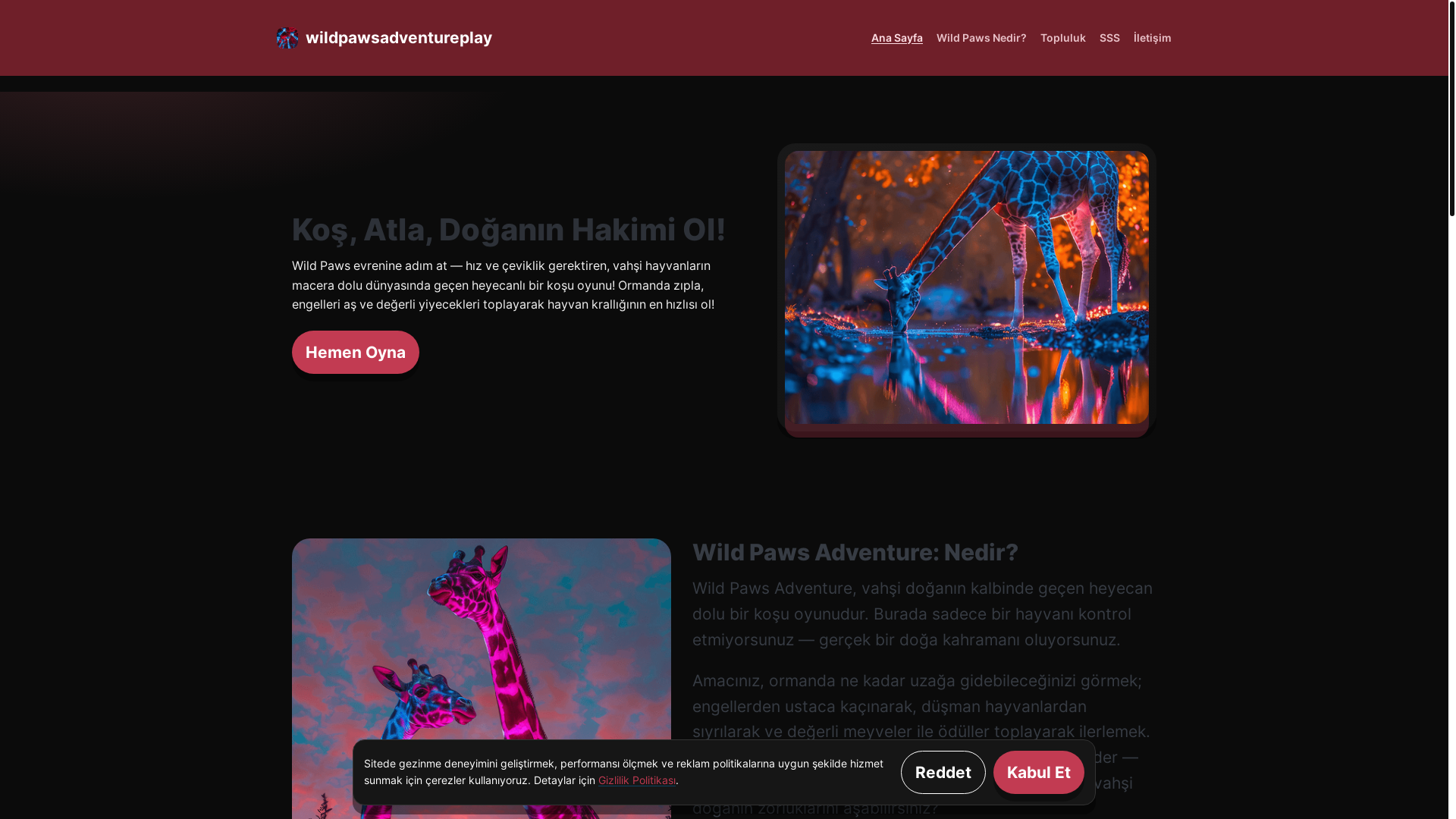 website screenshot of https://wildpawsadventureplay.com/