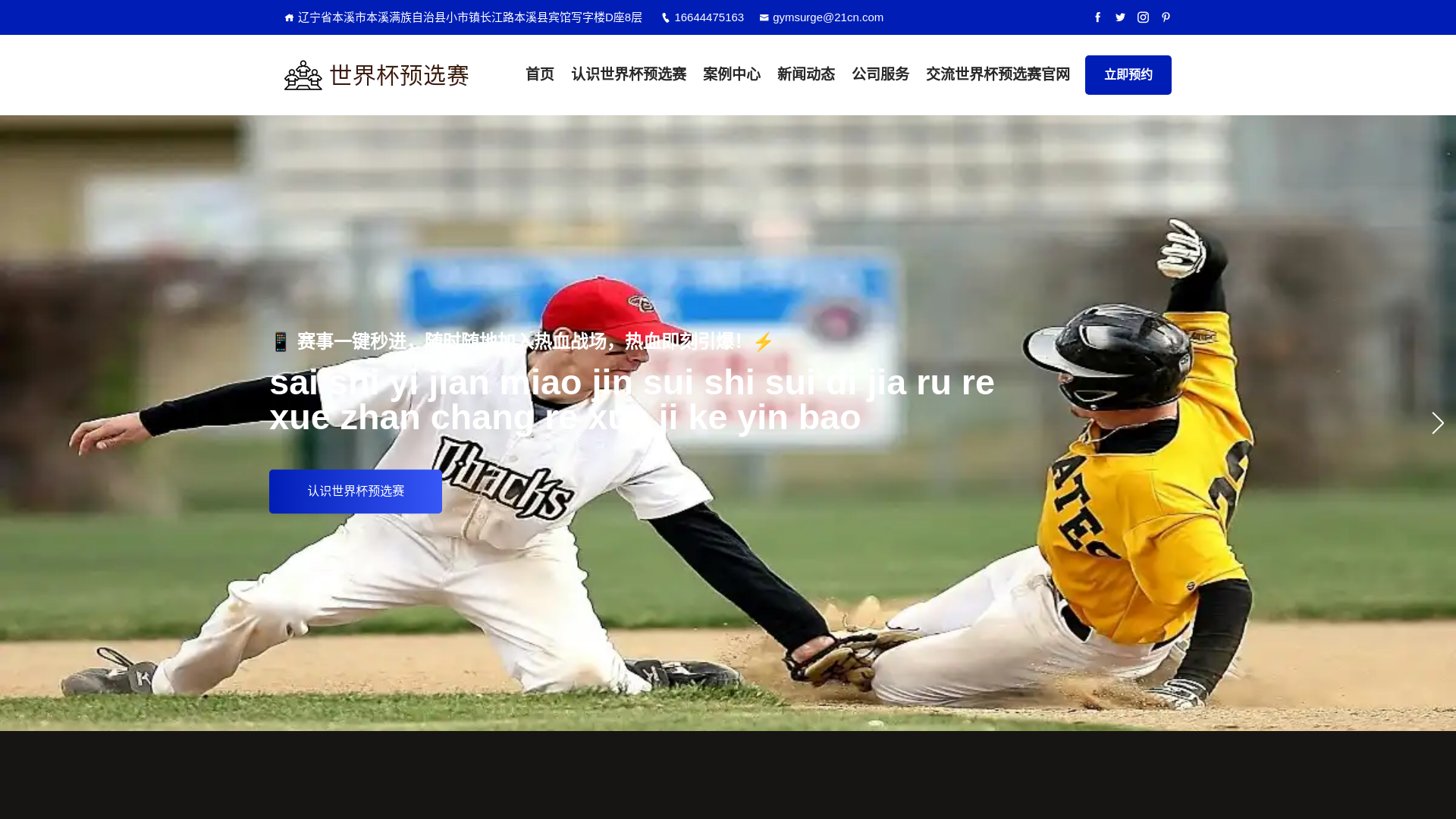 website screenshot of https://portal-zhs-worldcup.com/