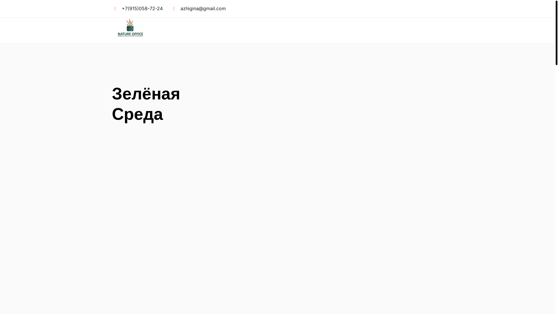 website screenshot of https://natureoffice.ru/