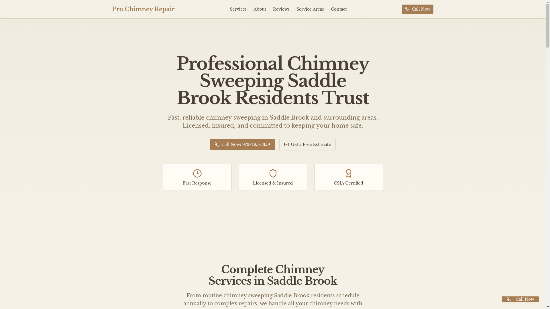 website screenshot of https://prochimneyrepair.info/
