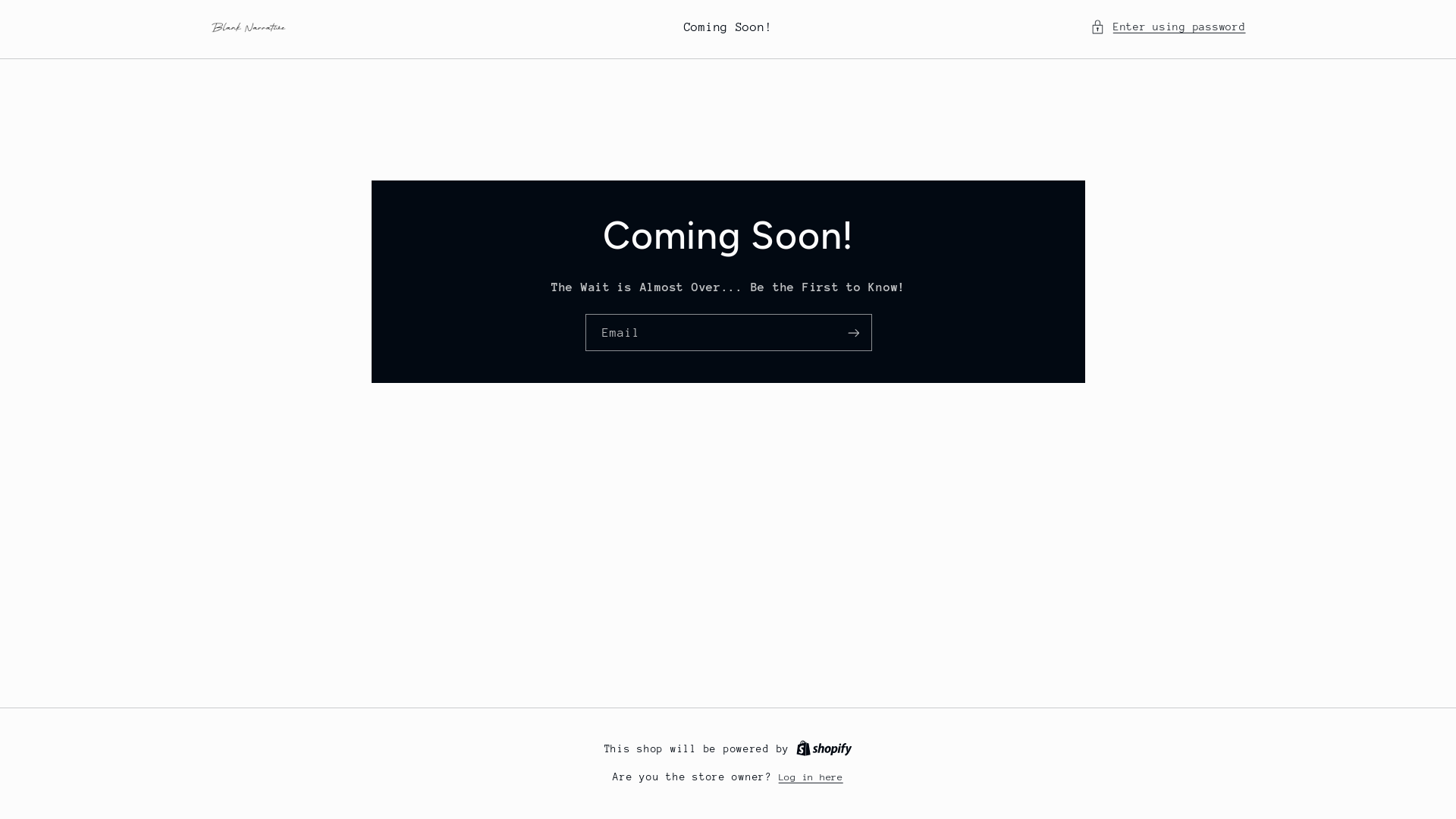 website screenshot of https://blanknarrative.com/