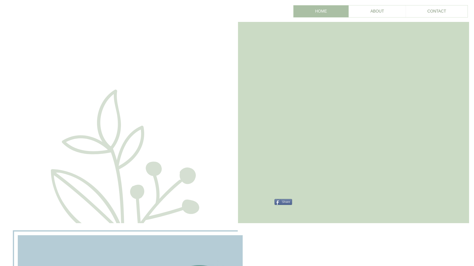 website screenshot of https://laurawienerbooks.com/