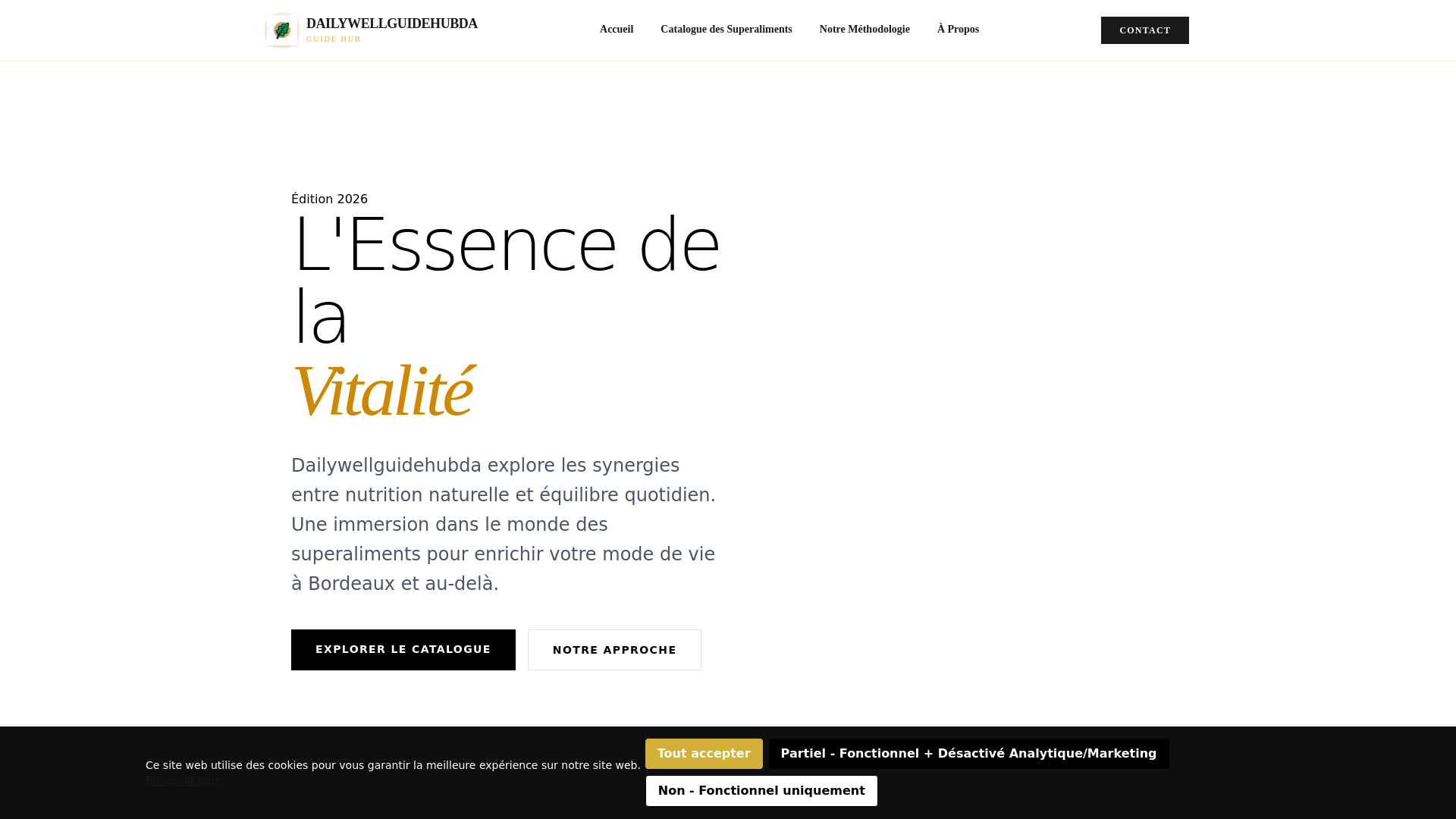 website screenshot of https://dailywellguidehubda.info/