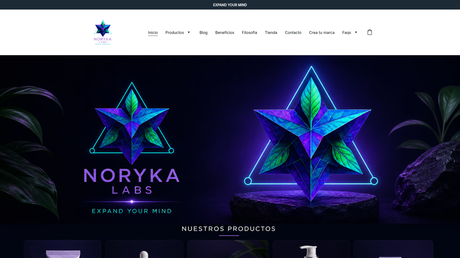 website screenshot of https://norykalabs.com/