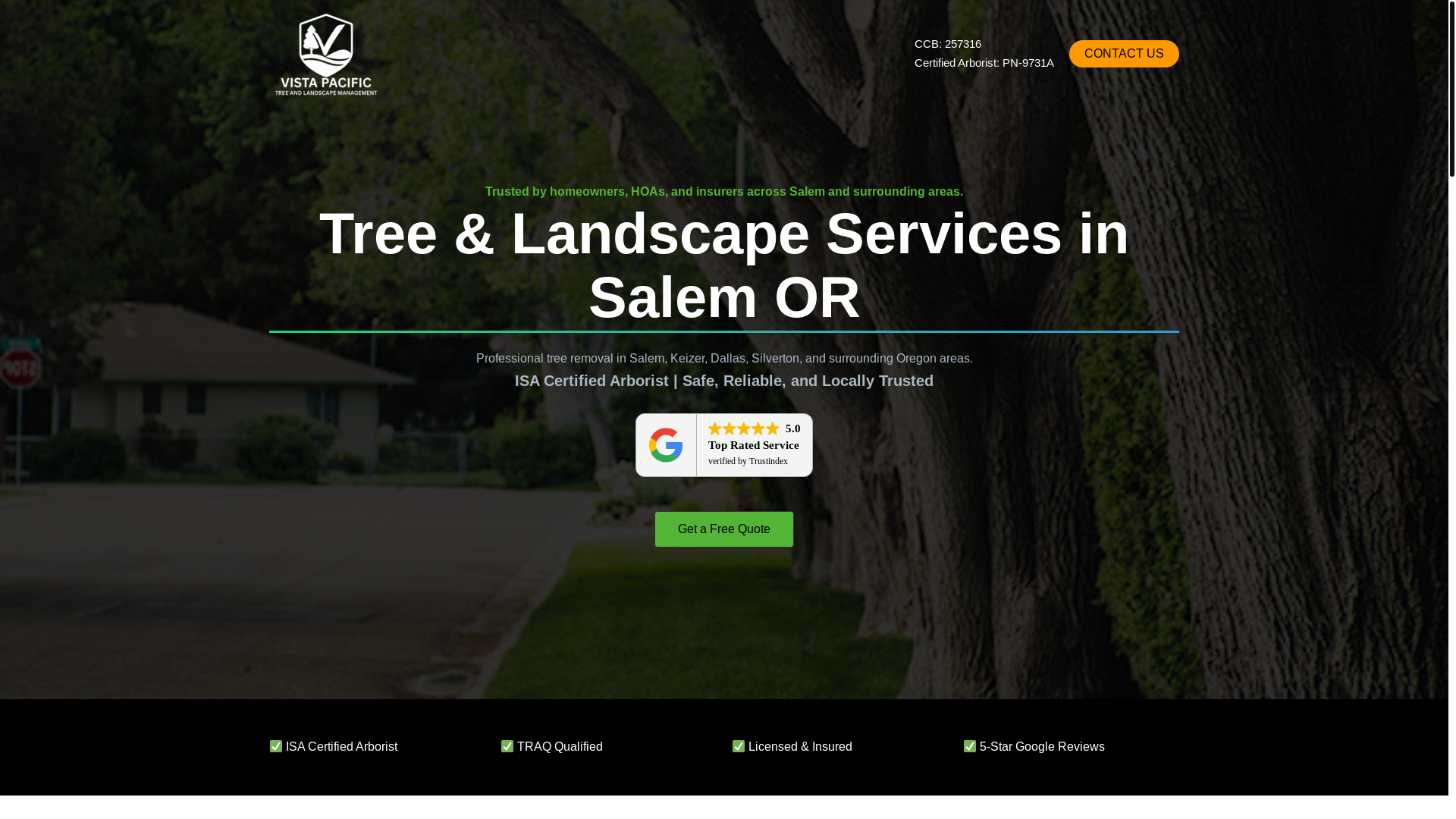 website screenshot of https://vistapacificnw.com/
