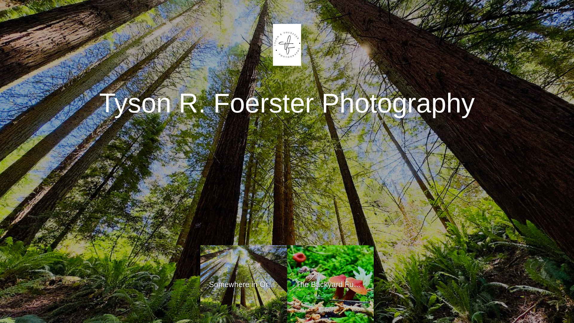 website screenshot of https://tysonrfoerster.com/