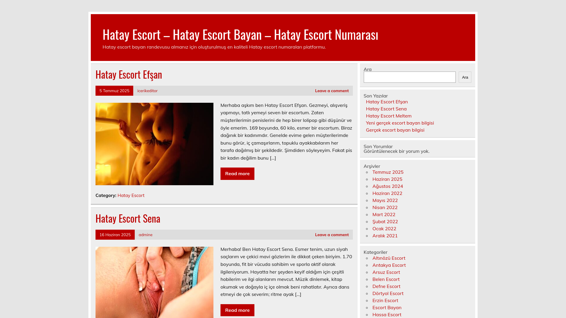 website screenshot of https://hatayescorts.click/