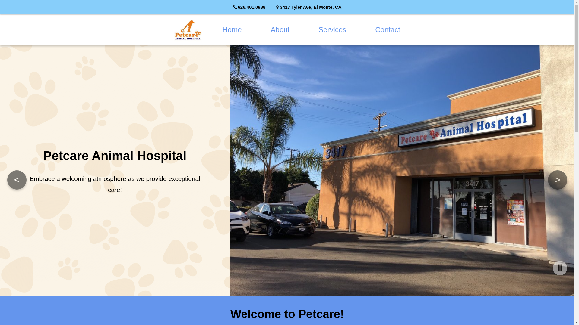 website screenshot of https://petcaretest.pages.dev/