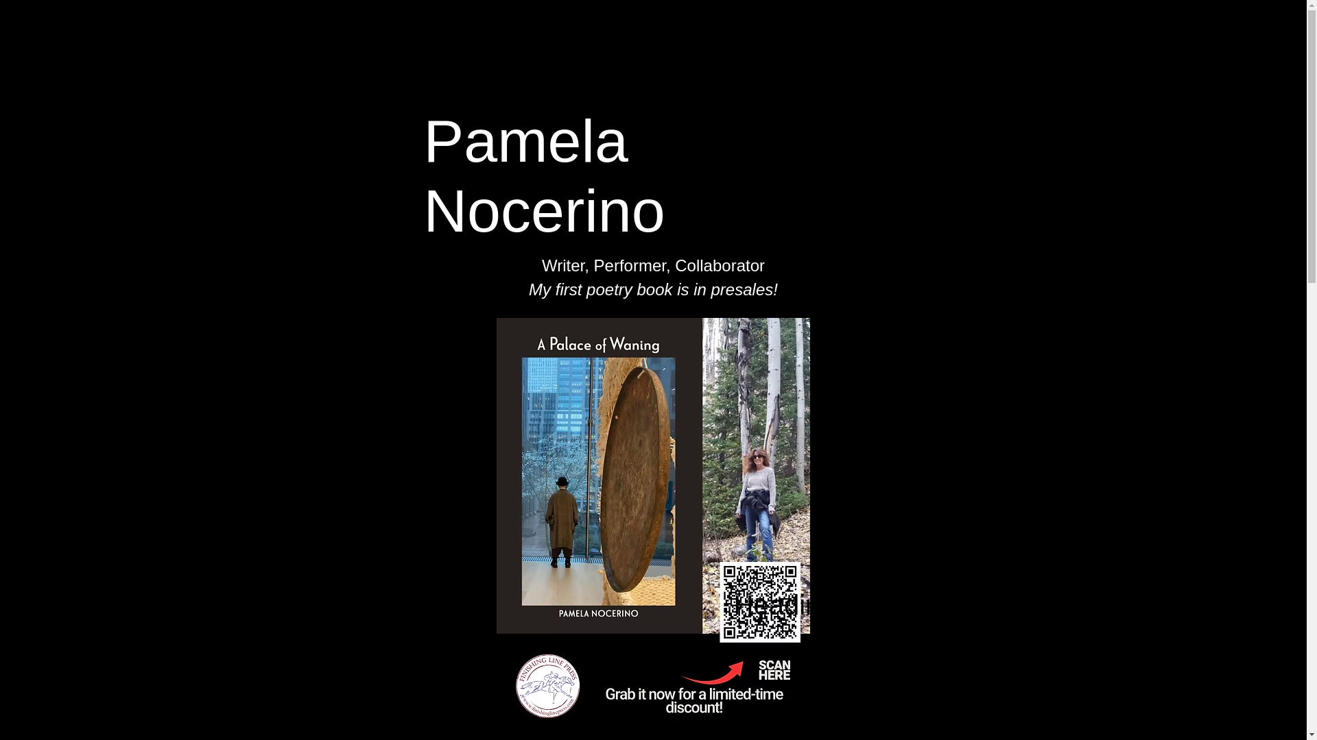 website screenshot of https://pamelanocerino.com/