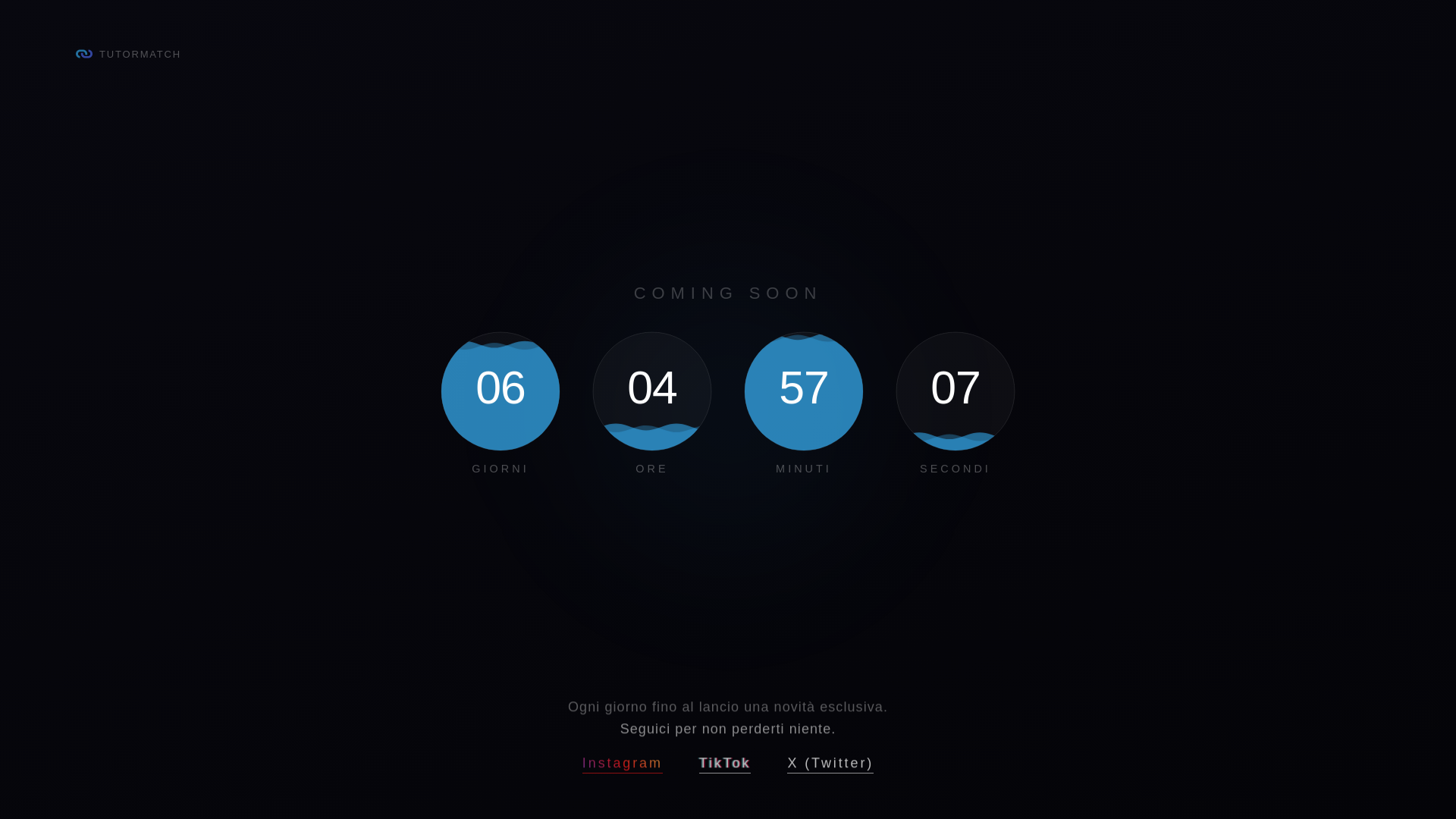 website screenshot of https://tutormatch.it/