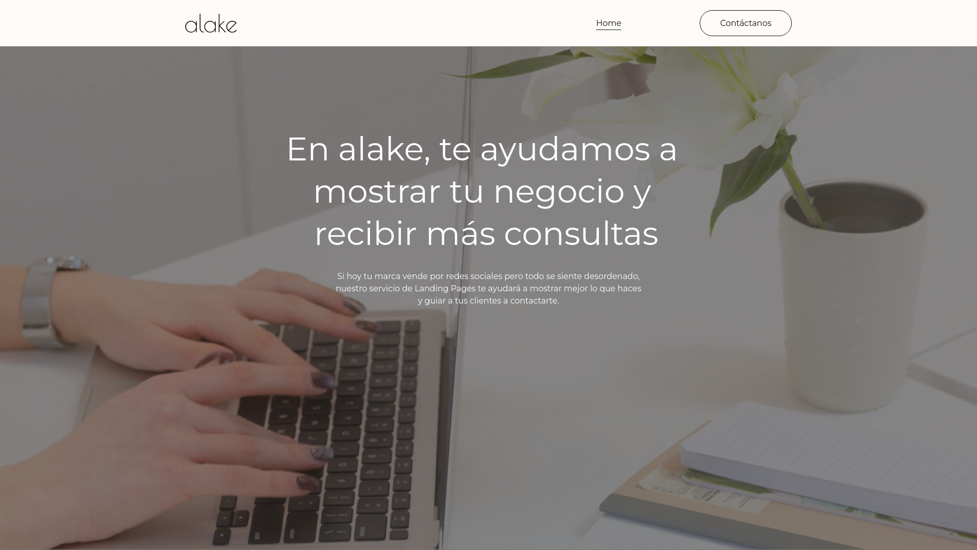 website screenshot of https://alakedesign.com