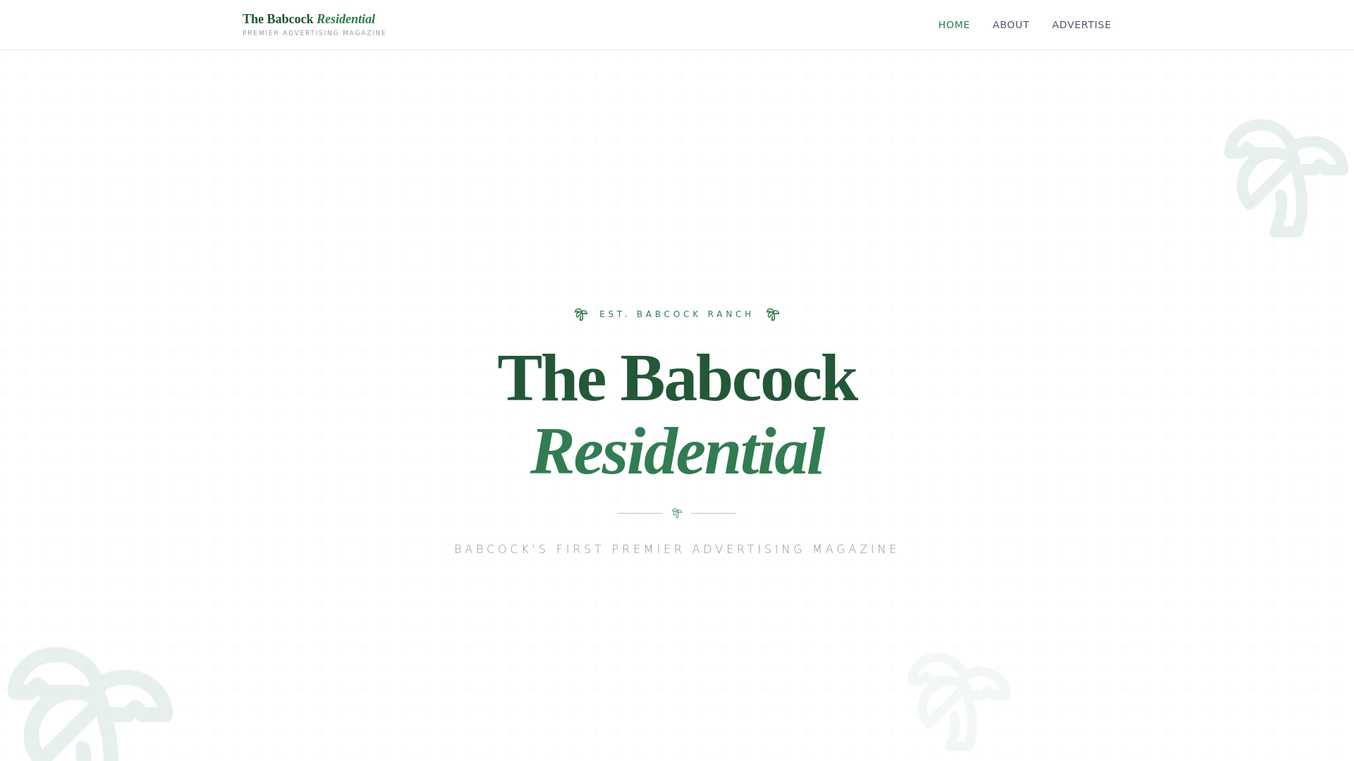 website screenshot of https://thebabcockmag.com/