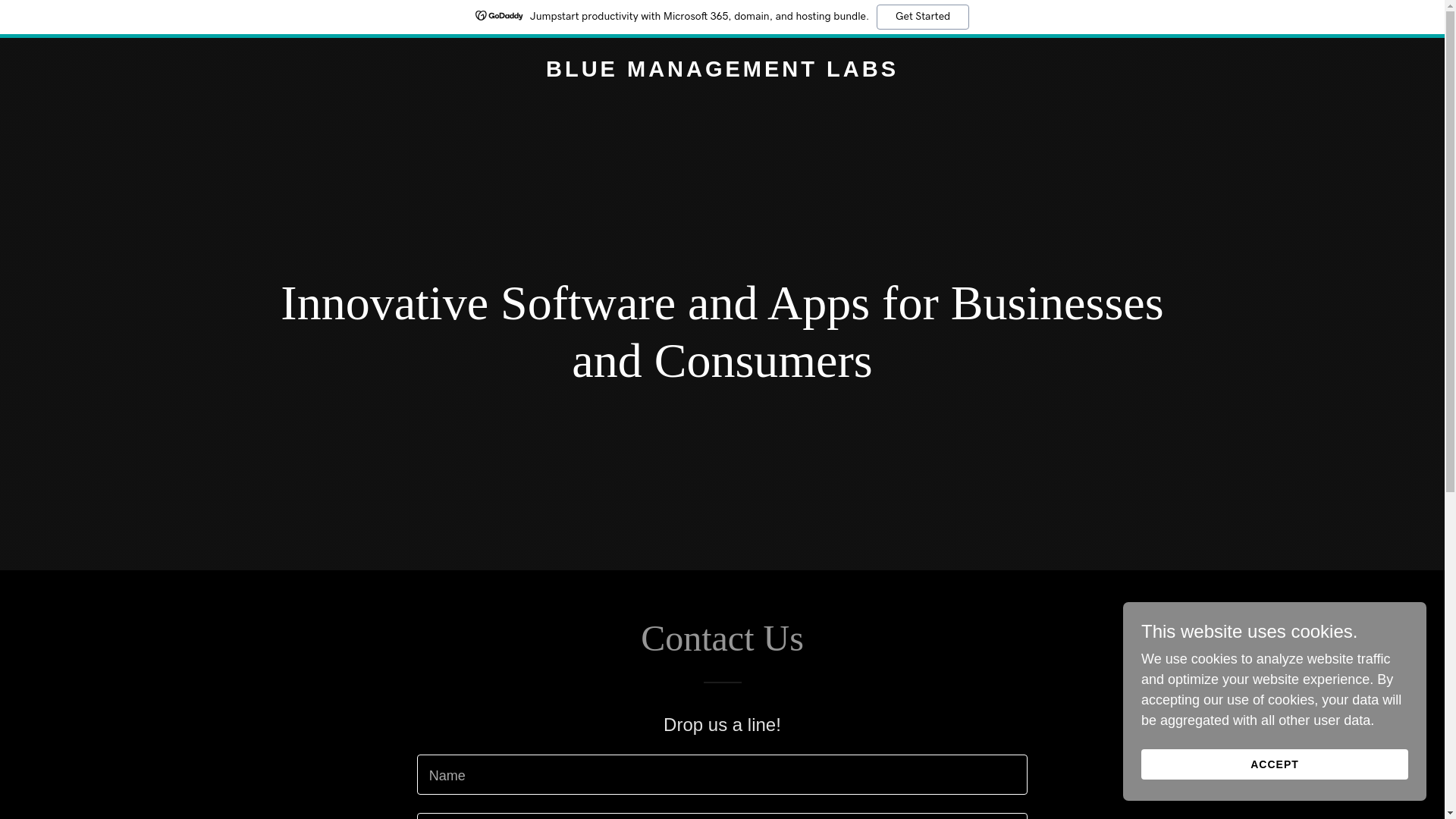 website screenshot of https://bluemgmtlabs.com/