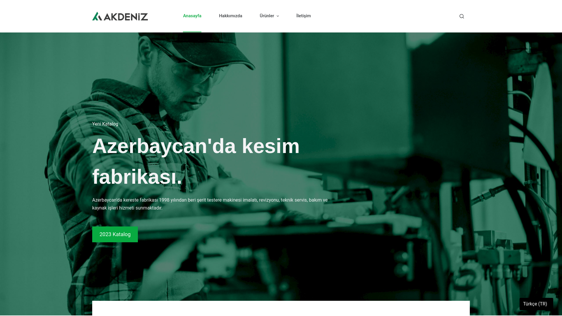website screenshot of https://quickthorn.cfd/