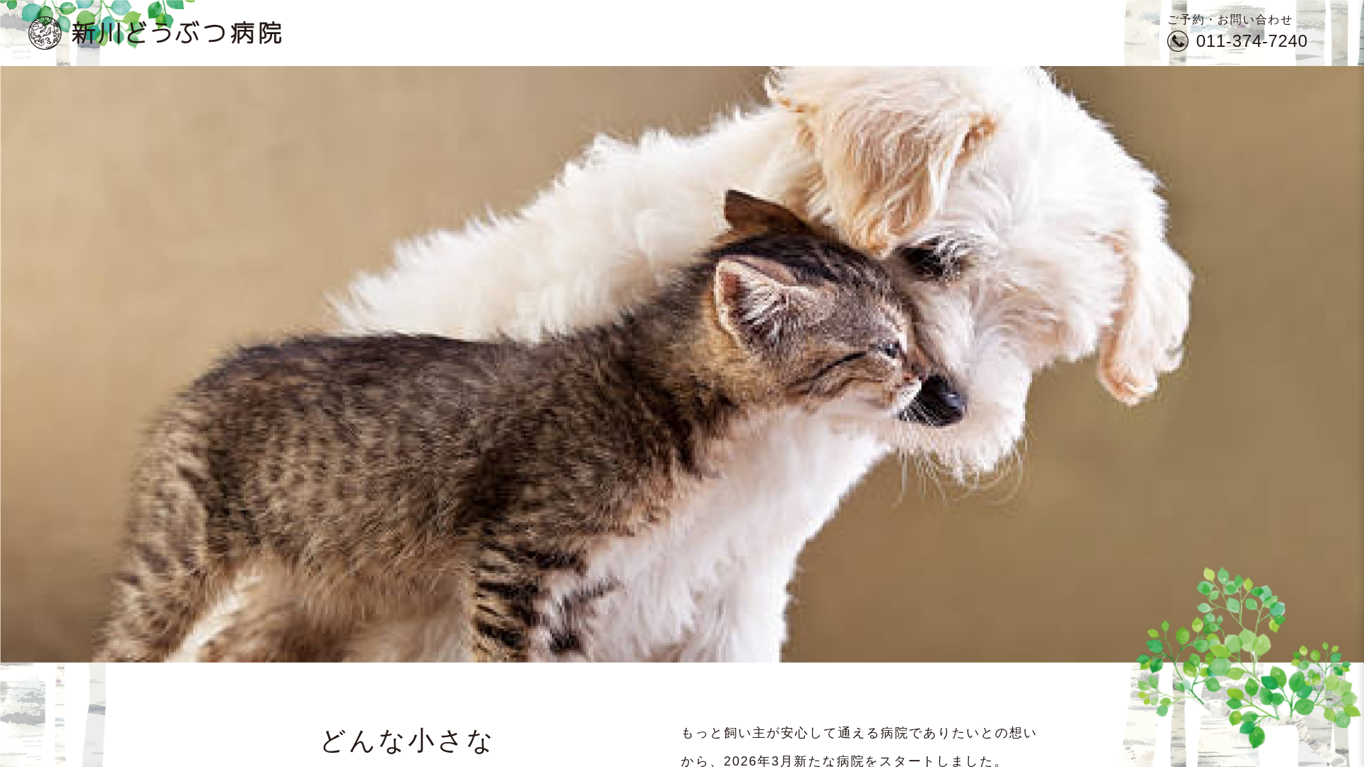 website screenshot of https://shinkawa-v.com/