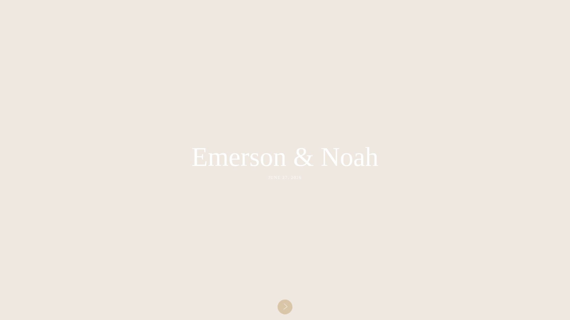 website screenshot of https://emersonandnoah.com/