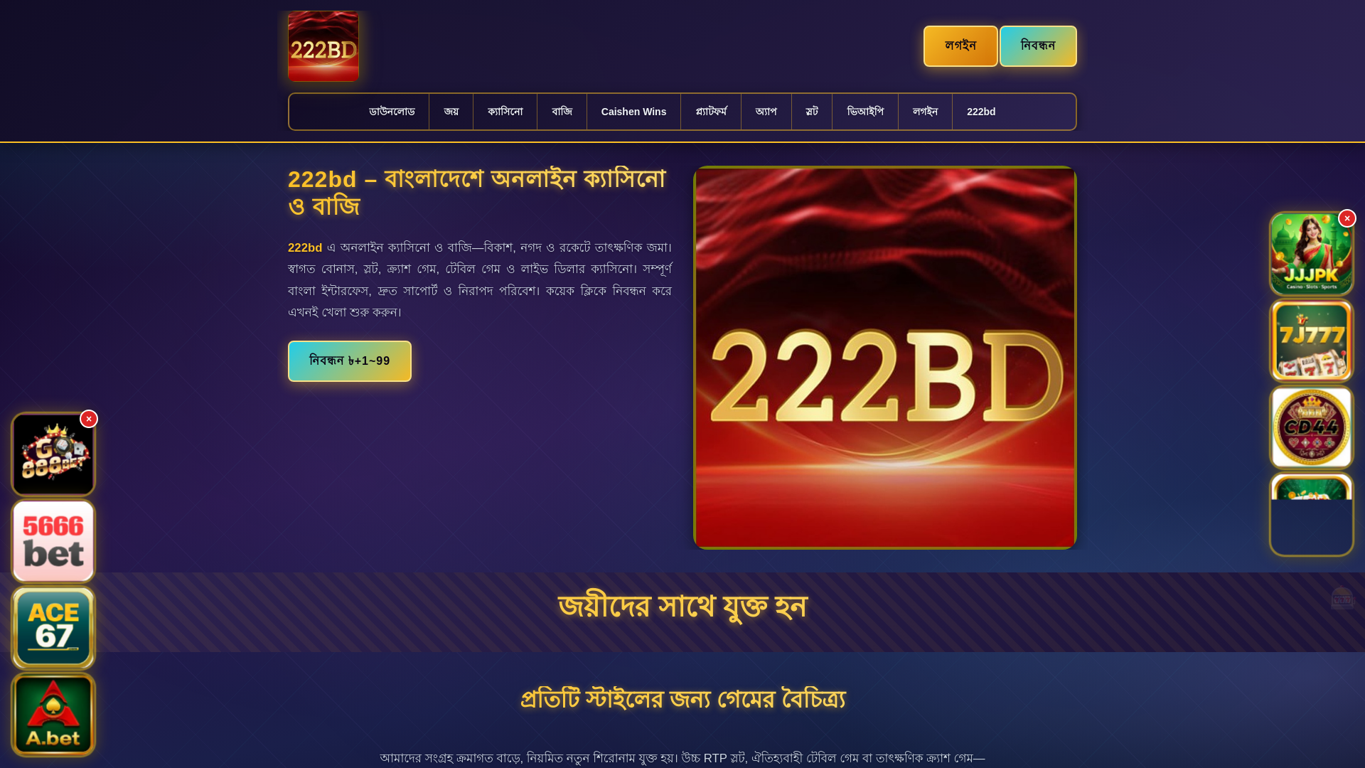 website screenshot of https://222bdpanch.com/