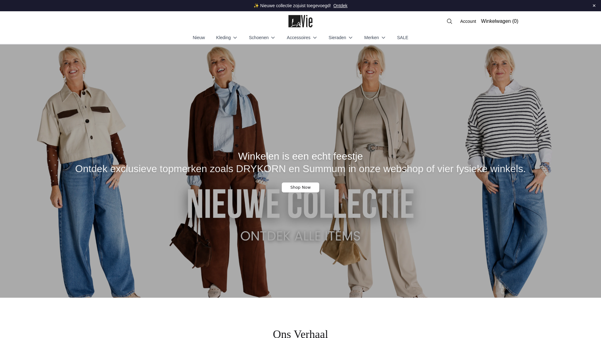 website screenshot of https://laviestores.shop