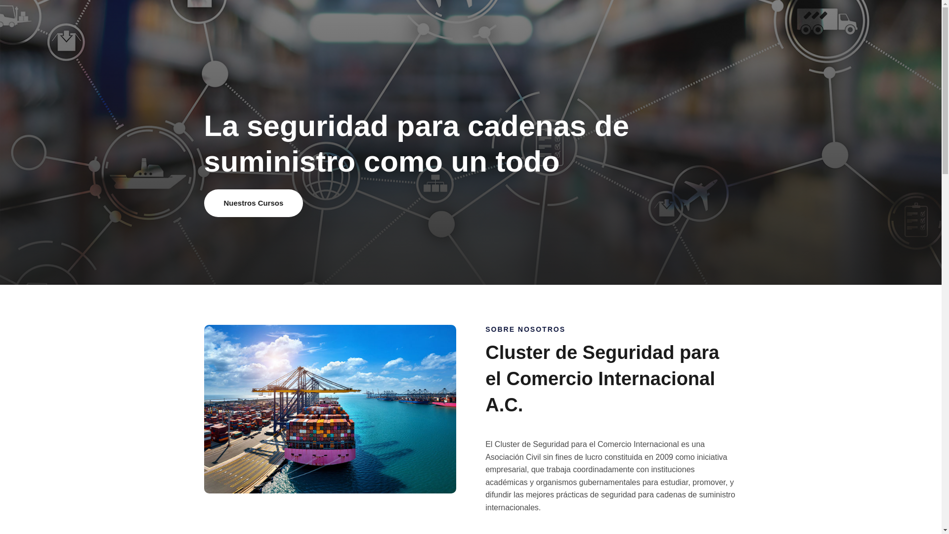 website screenshot of https://programa-cluster.com/
