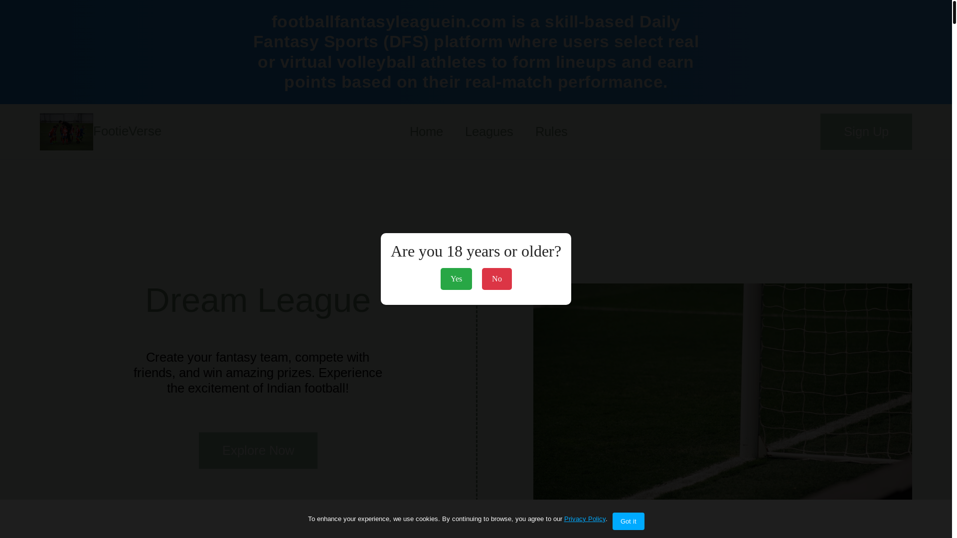 website screenshot of https://footballfantasyleaguein.com/