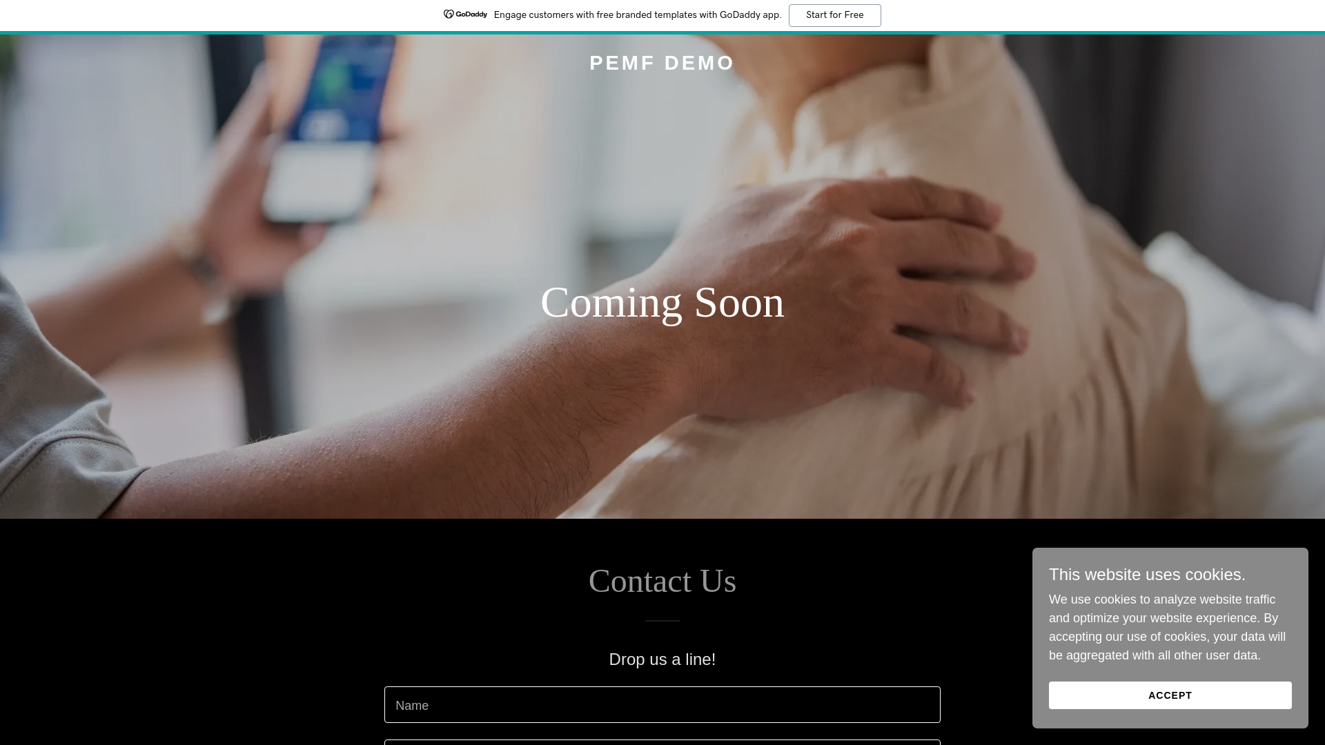 website screenshot of https://pemf-demo.com/