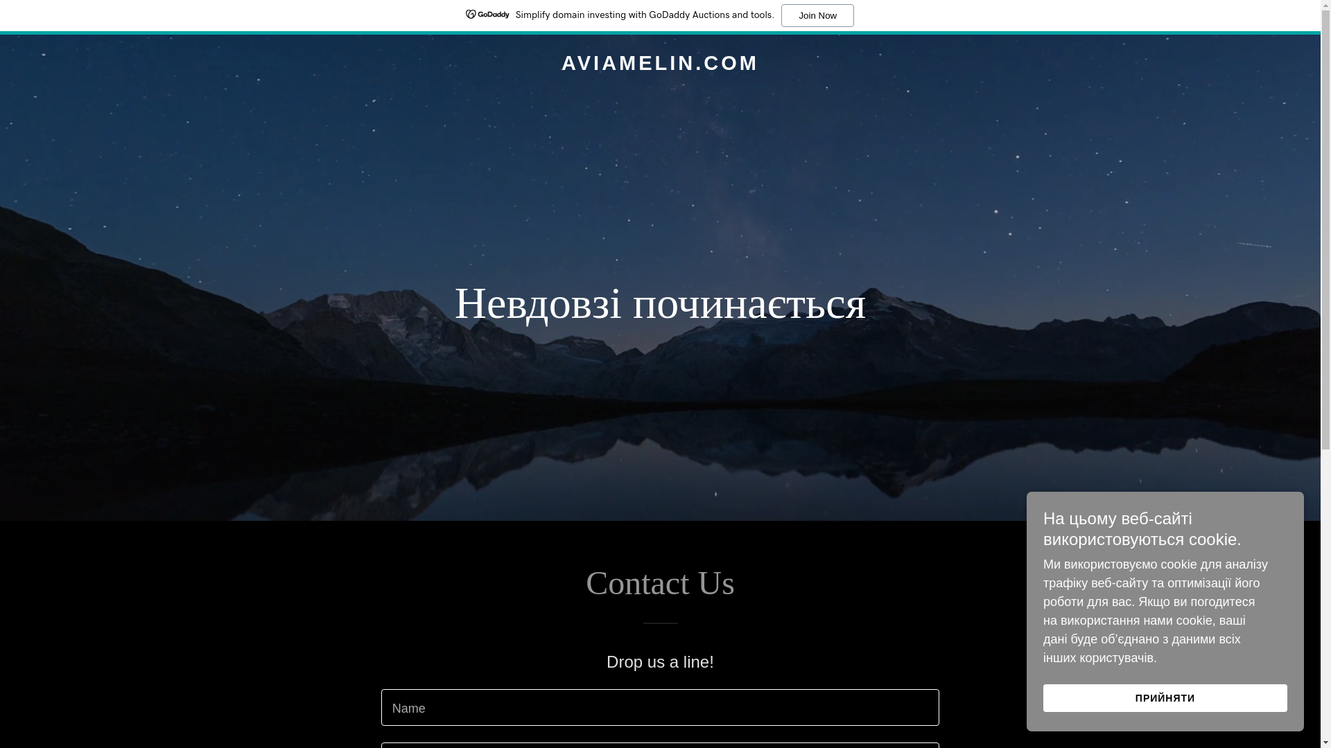 website screenshot of https://aviamelin.com/