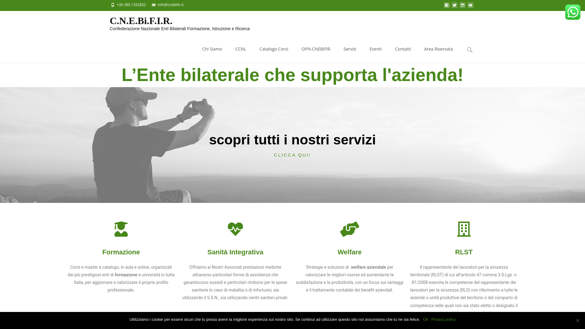 website screenshot of https://cnebifir.it
