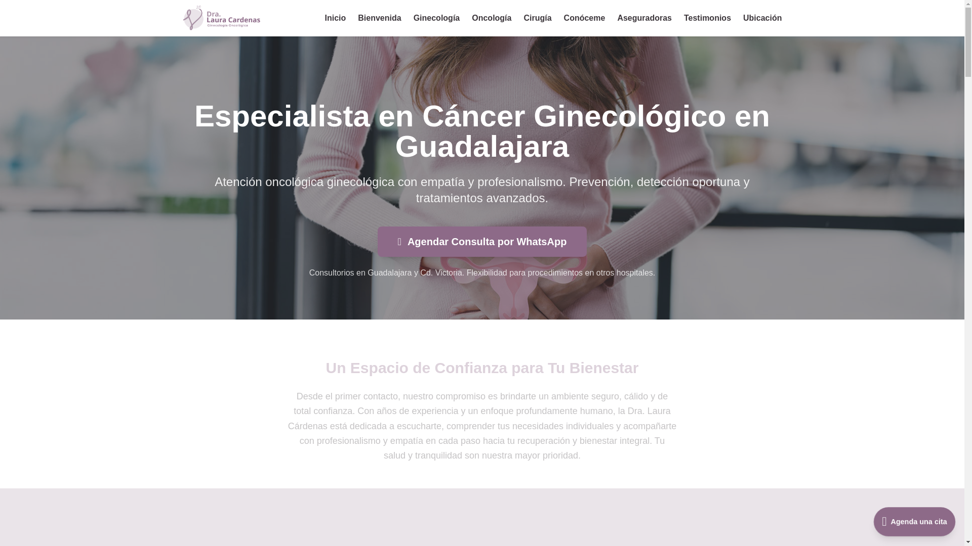 website screenshot of https://ginecologaoncologalaura.com/