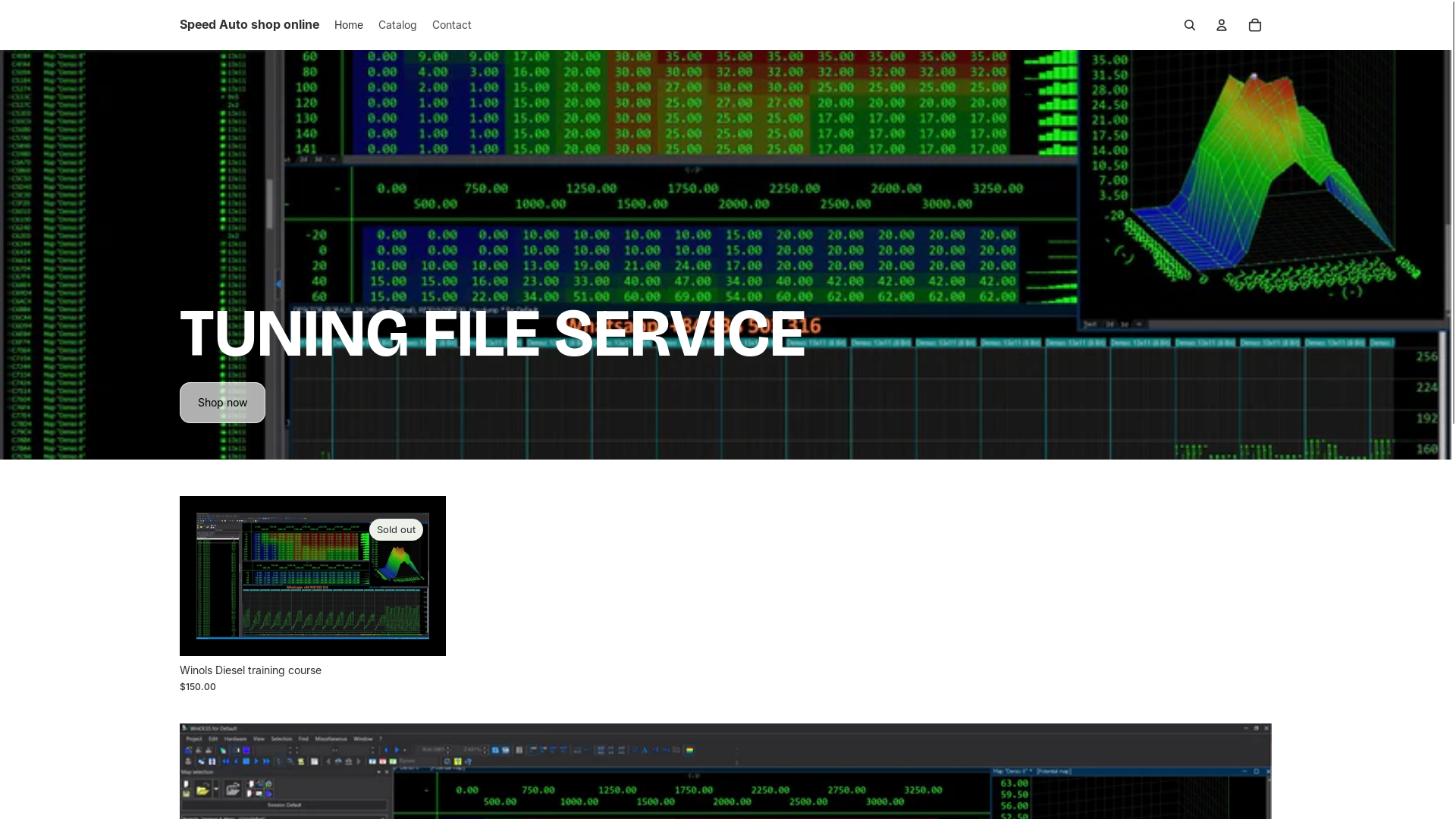 website screenshot of https://ecuproservice.com/