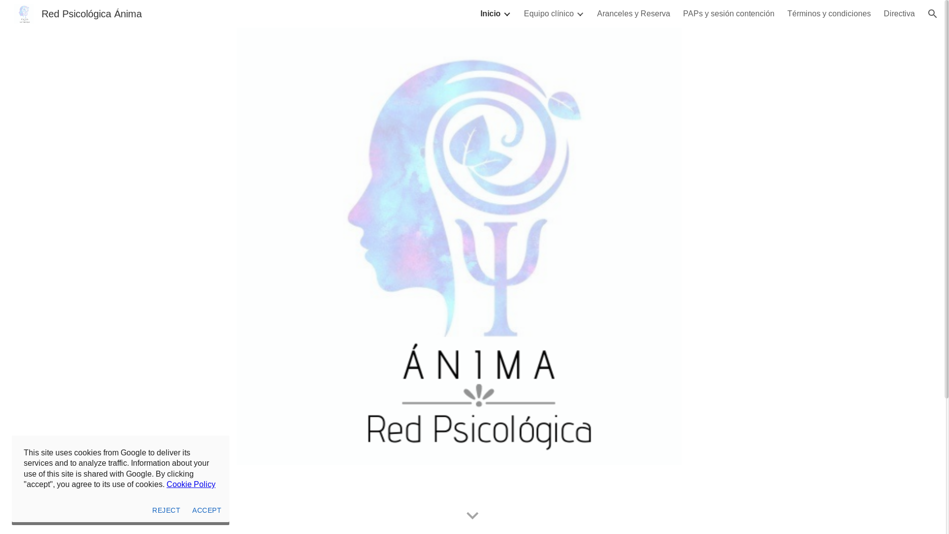 website screenshot of https://redanima.cl/