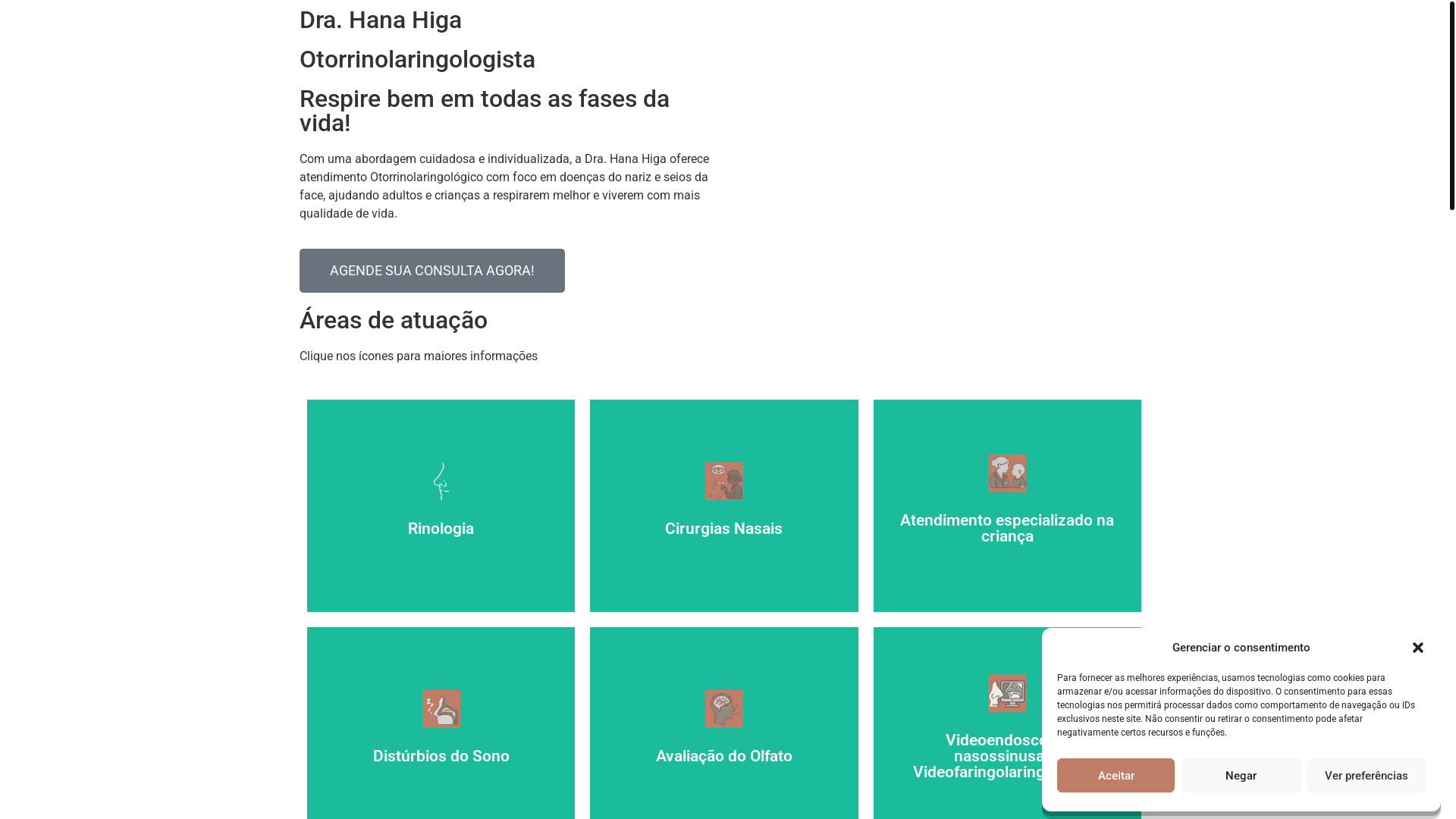 website screenshot of https://hanahiga.com.br/