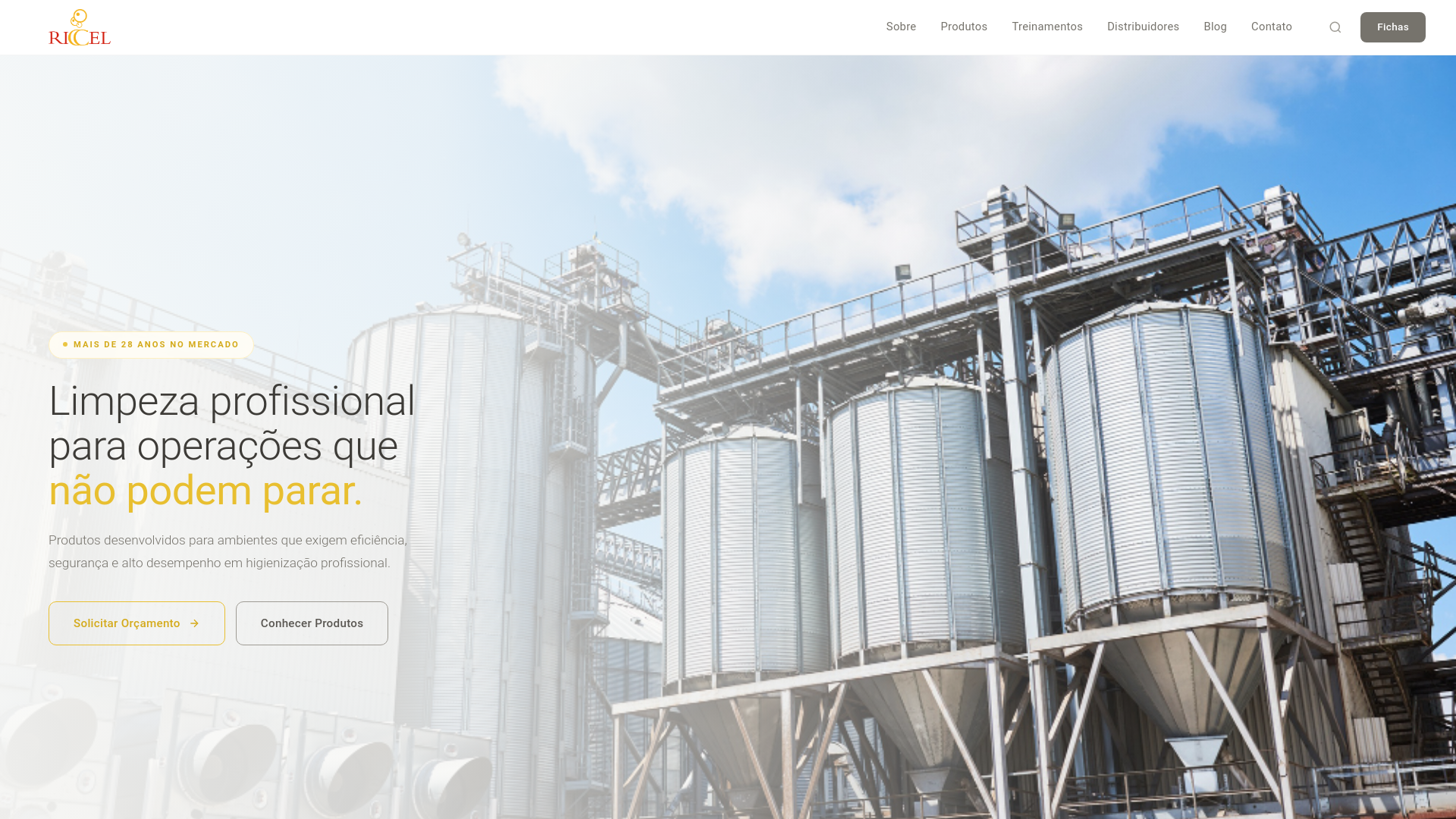 website screenshot of https://riccel.pages.dev/