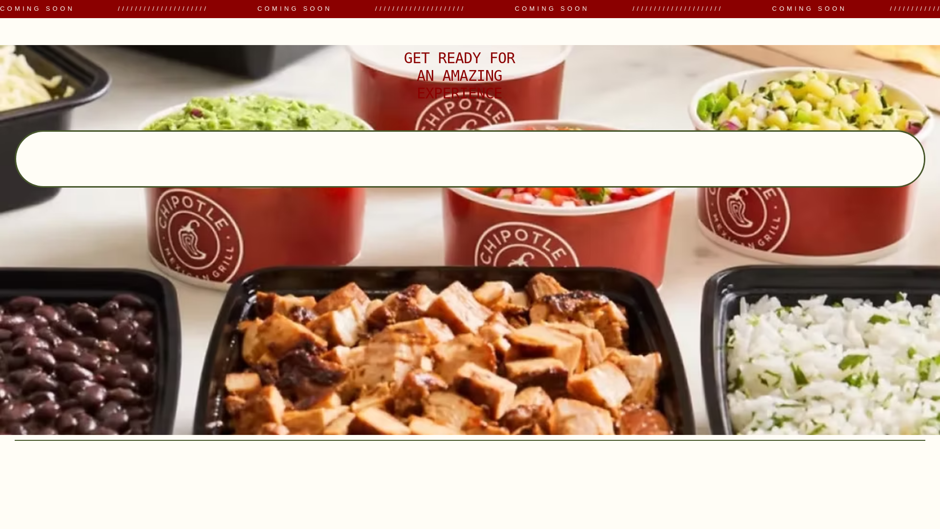website screenshot of https://chipotlenj.com