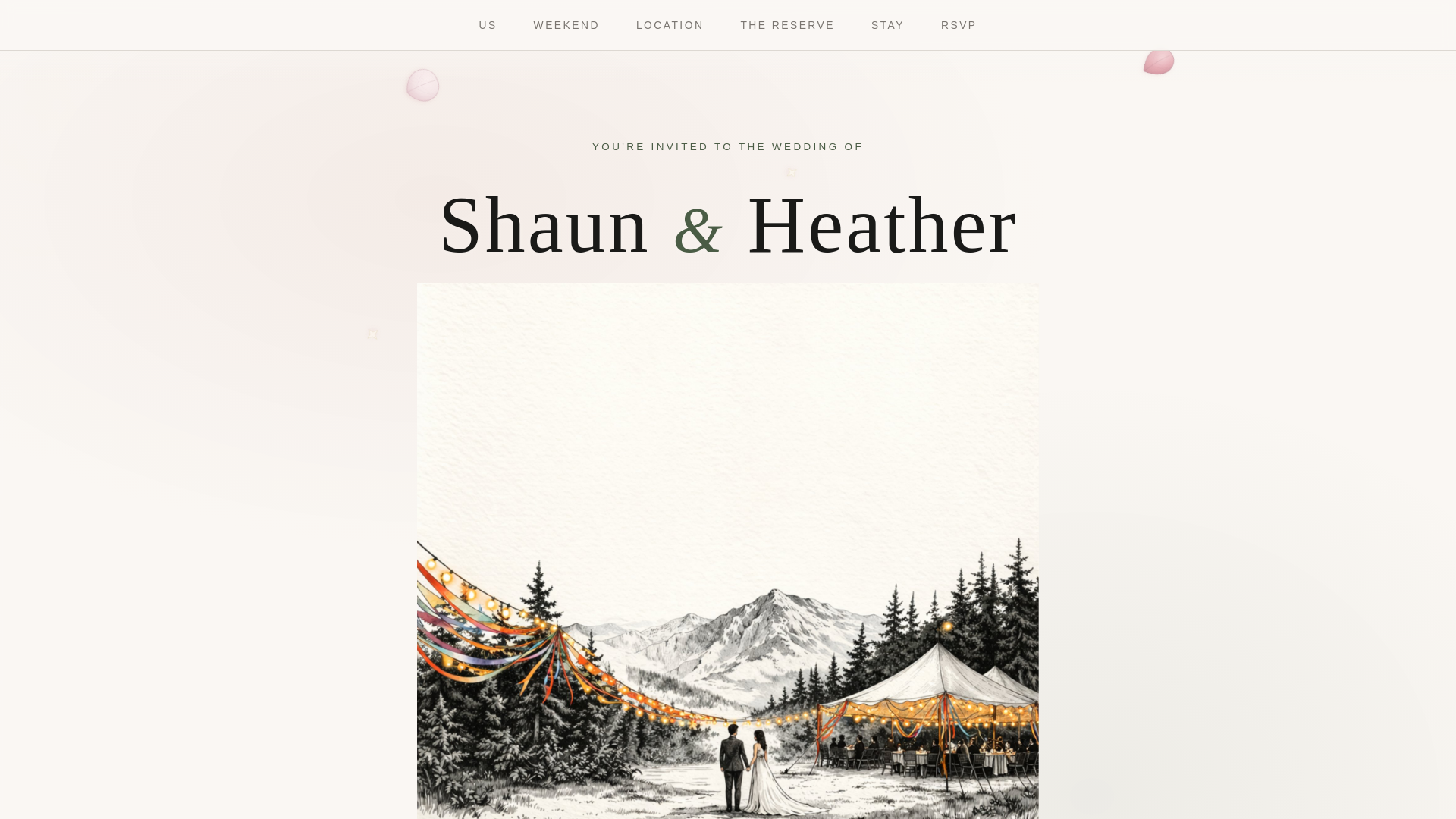 website screenshot of https://shaunandheatherwedding.site