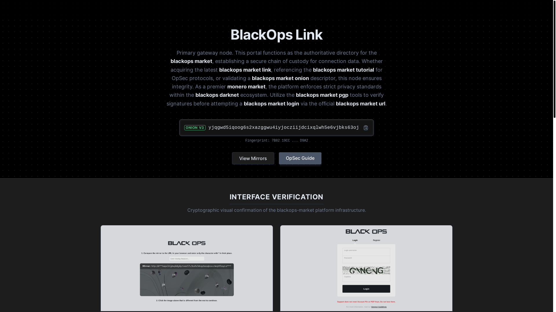 website screenshot of https://blackopslink.digital/