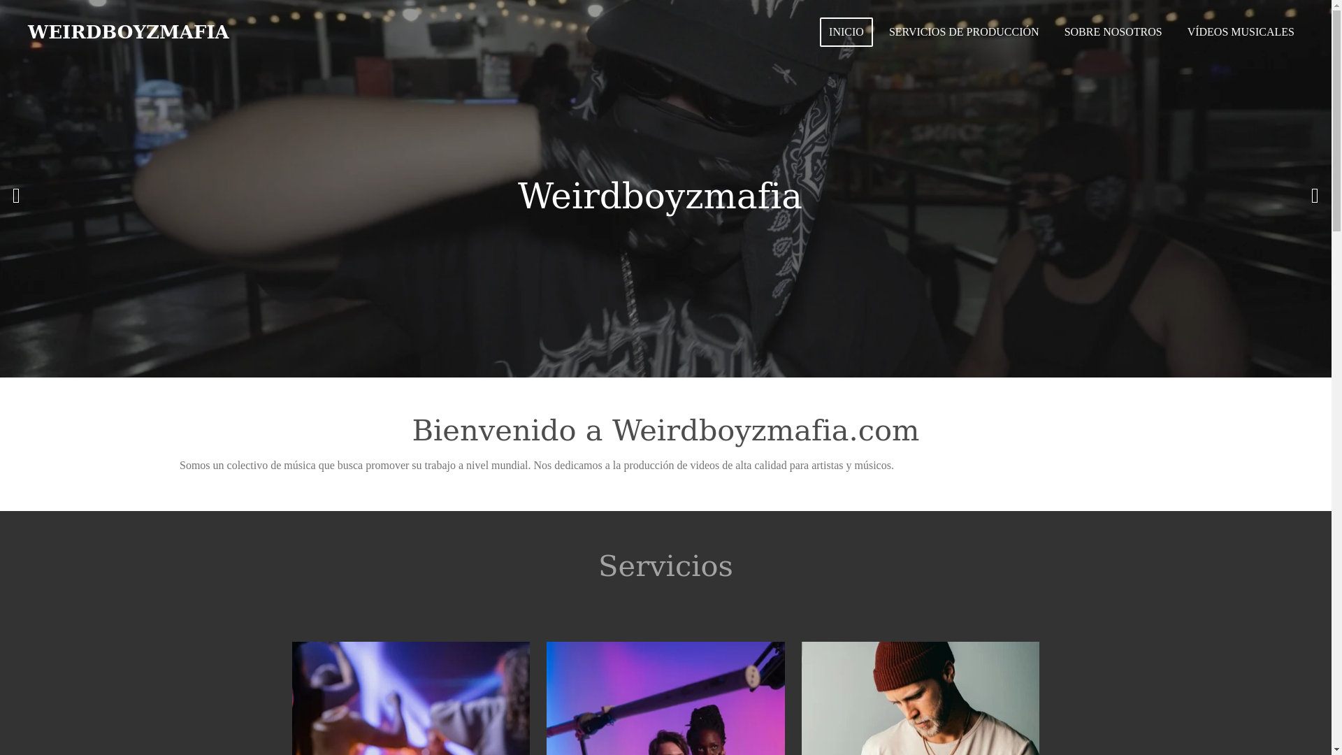 website screenshot of https://weirdboyzmafia.com/