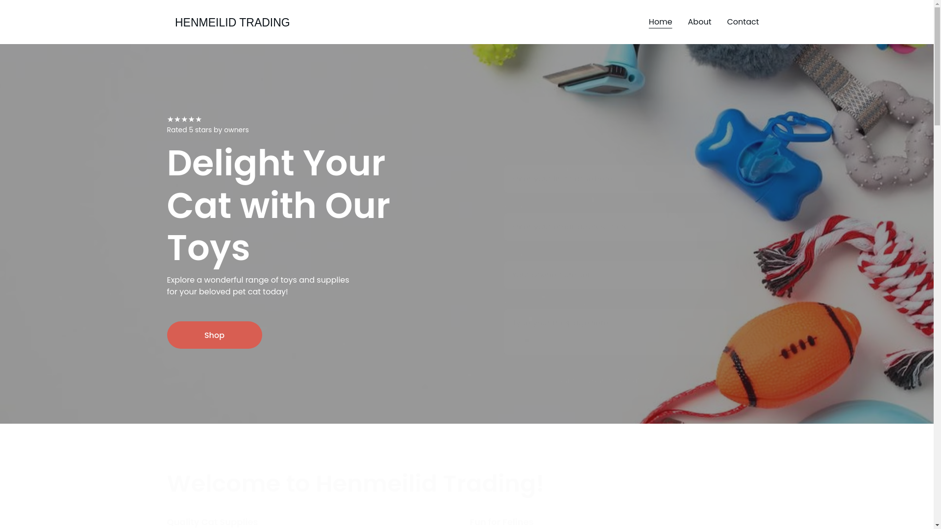website screenshot of https://henmeilid.com/