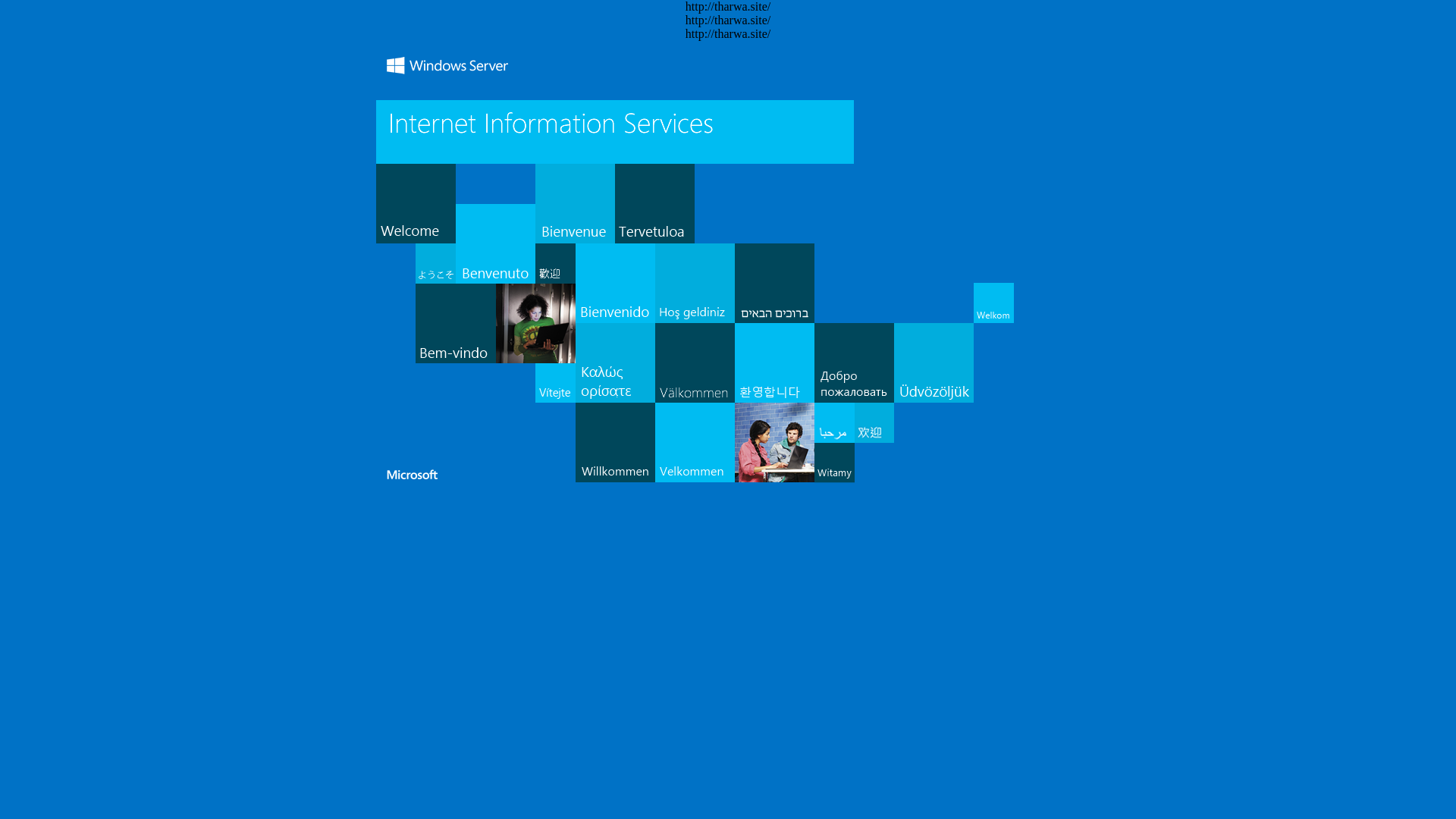 website screenshot of https://tharwa.site/