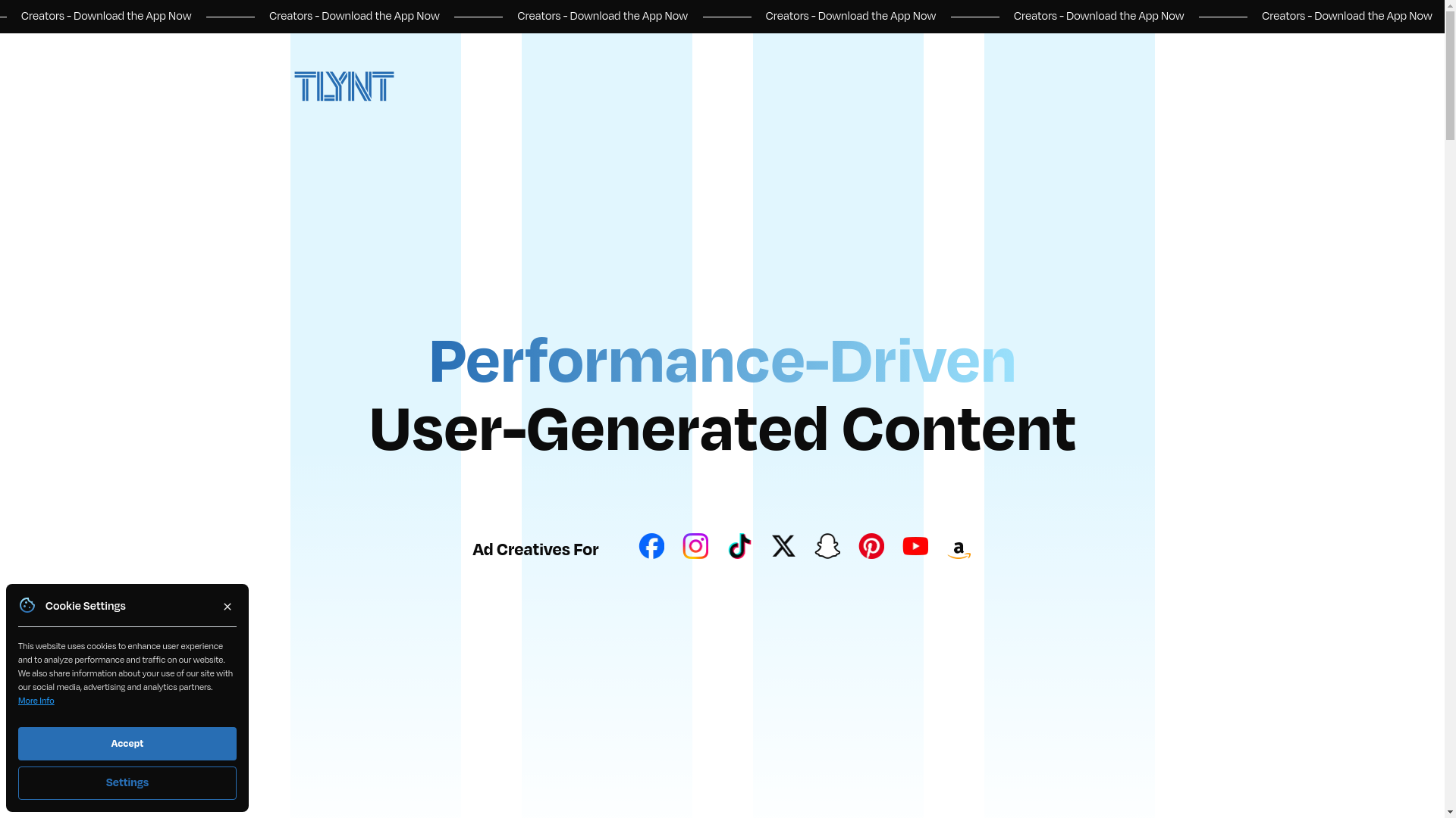 website screenshot of https://boostbytlynt.com/